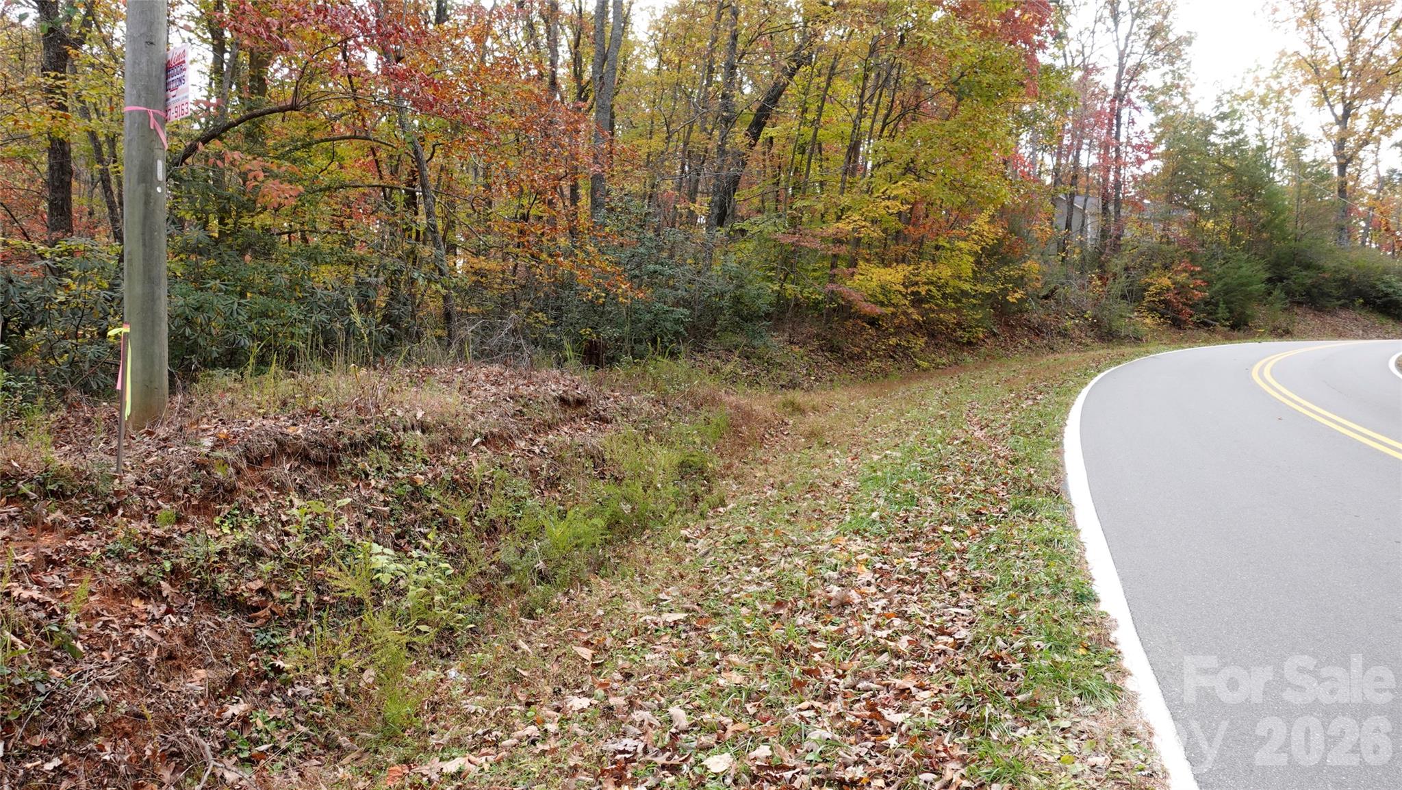 00 Lytle Mountain Road Property Photo 39