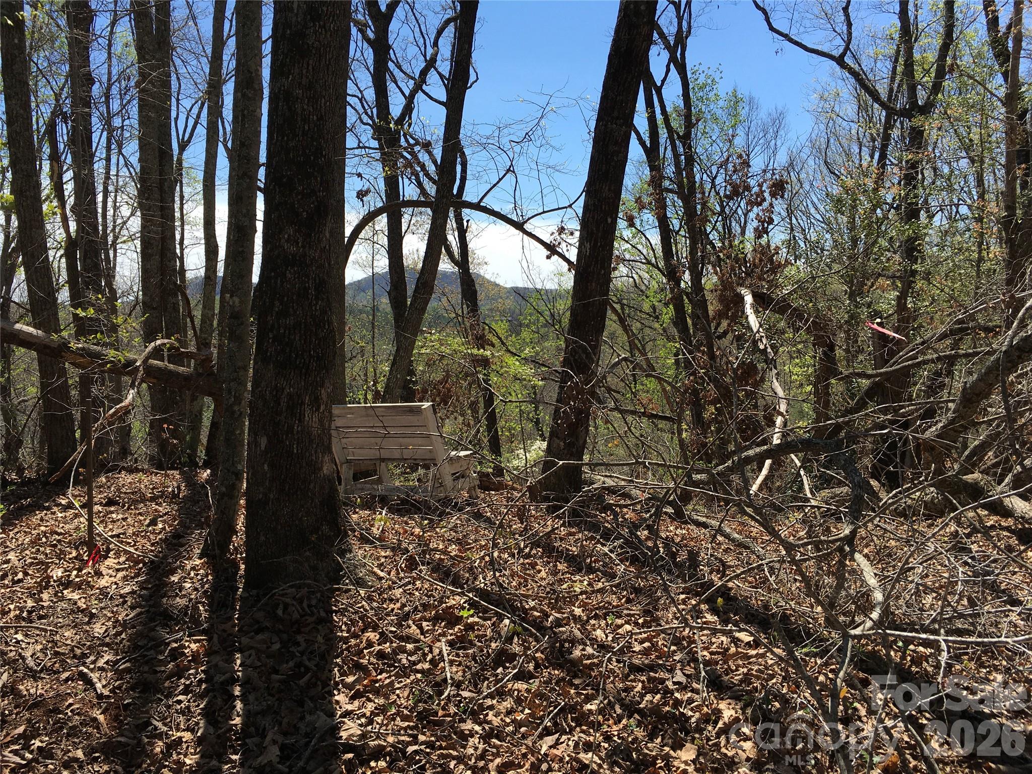 00 Lytle Mountain Road Property Photo 40