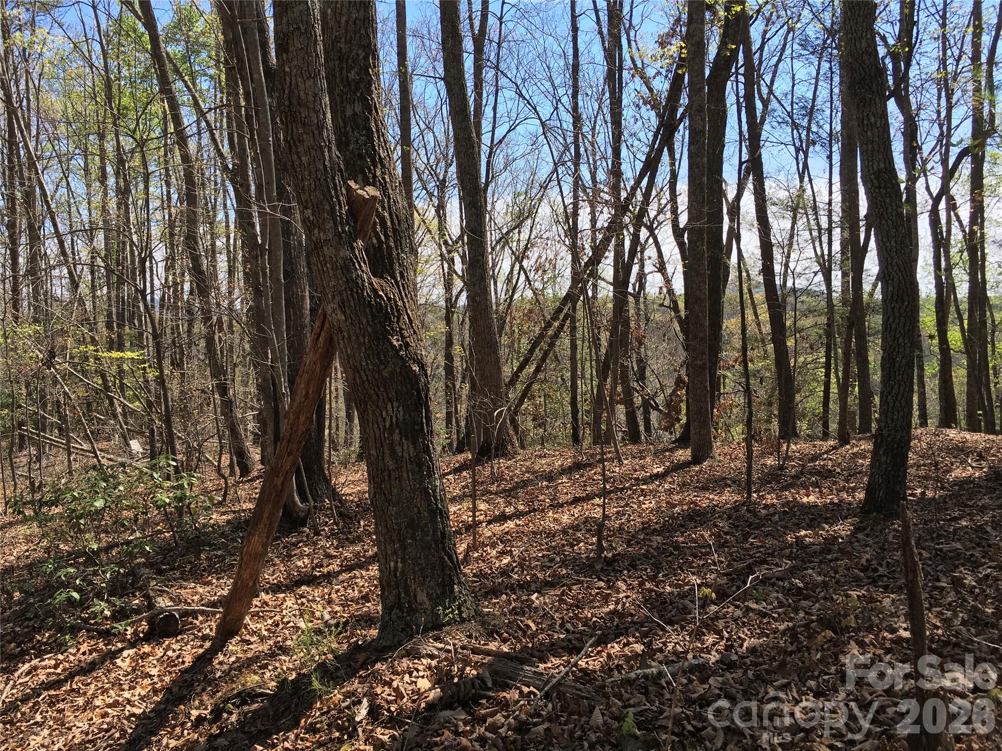 00 Lytle Mountain Road Property Photo 41