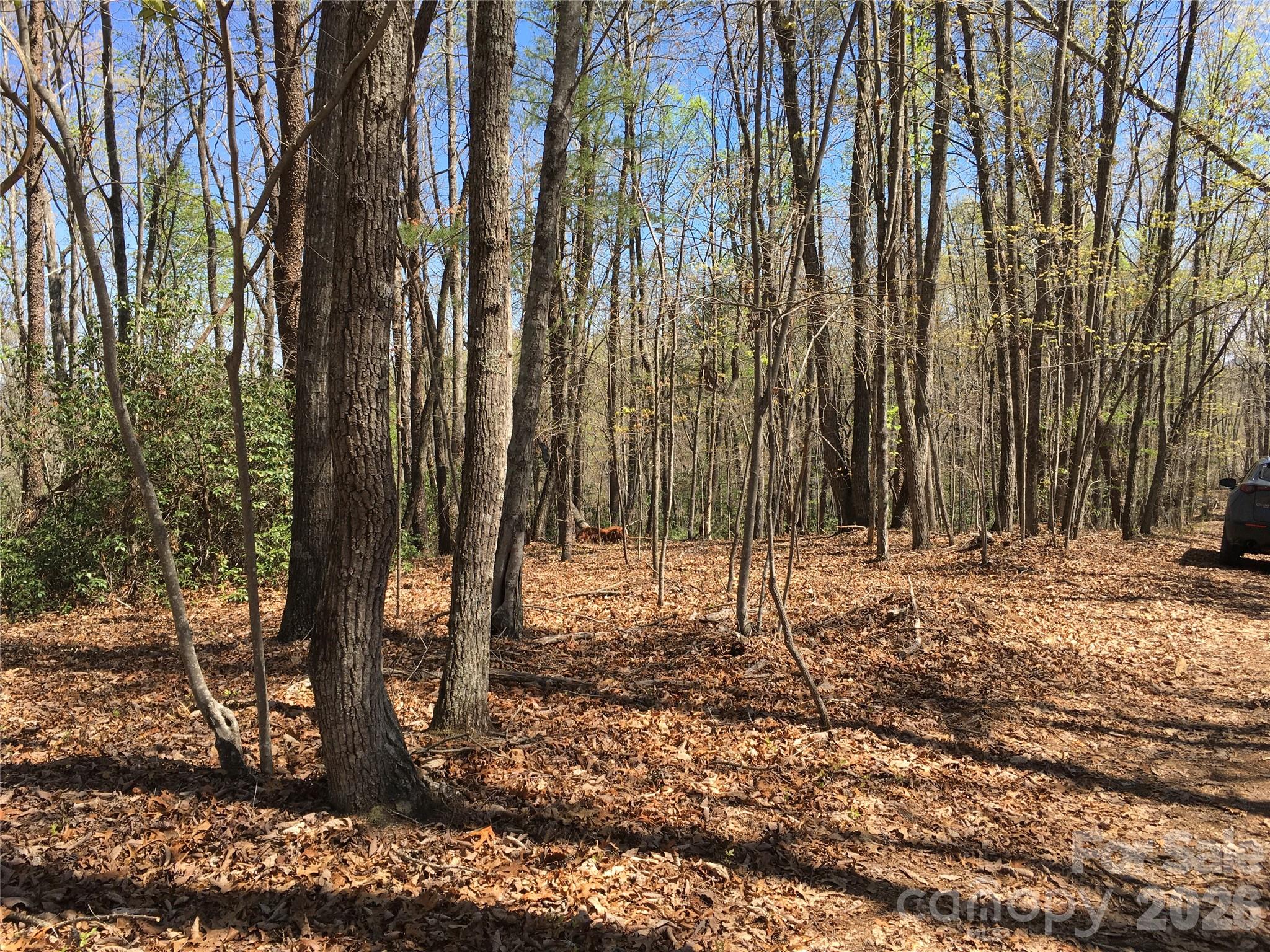 00 Lytle Mountain Road Property Photo 43