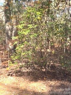 667 Pinewood Knoll Drive Property Photo 22