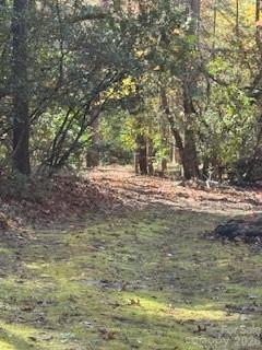 667 Pinewood Knoll Drive Property Photo 25
