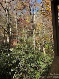 667 Pinewood Knoll Drive Property Photo 27