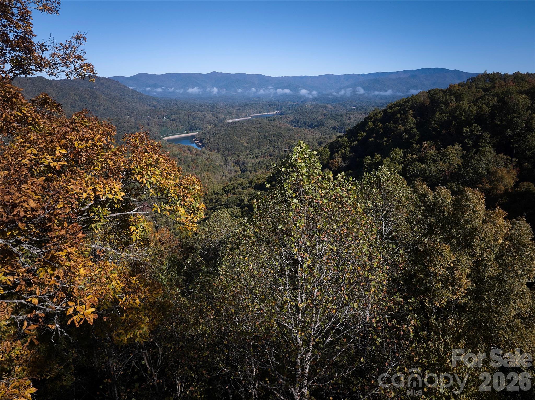 0 Glory Mountain Road Property Photo 1