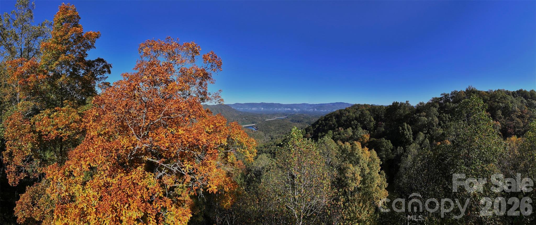0 Glory Mountain Road Property Photo 2