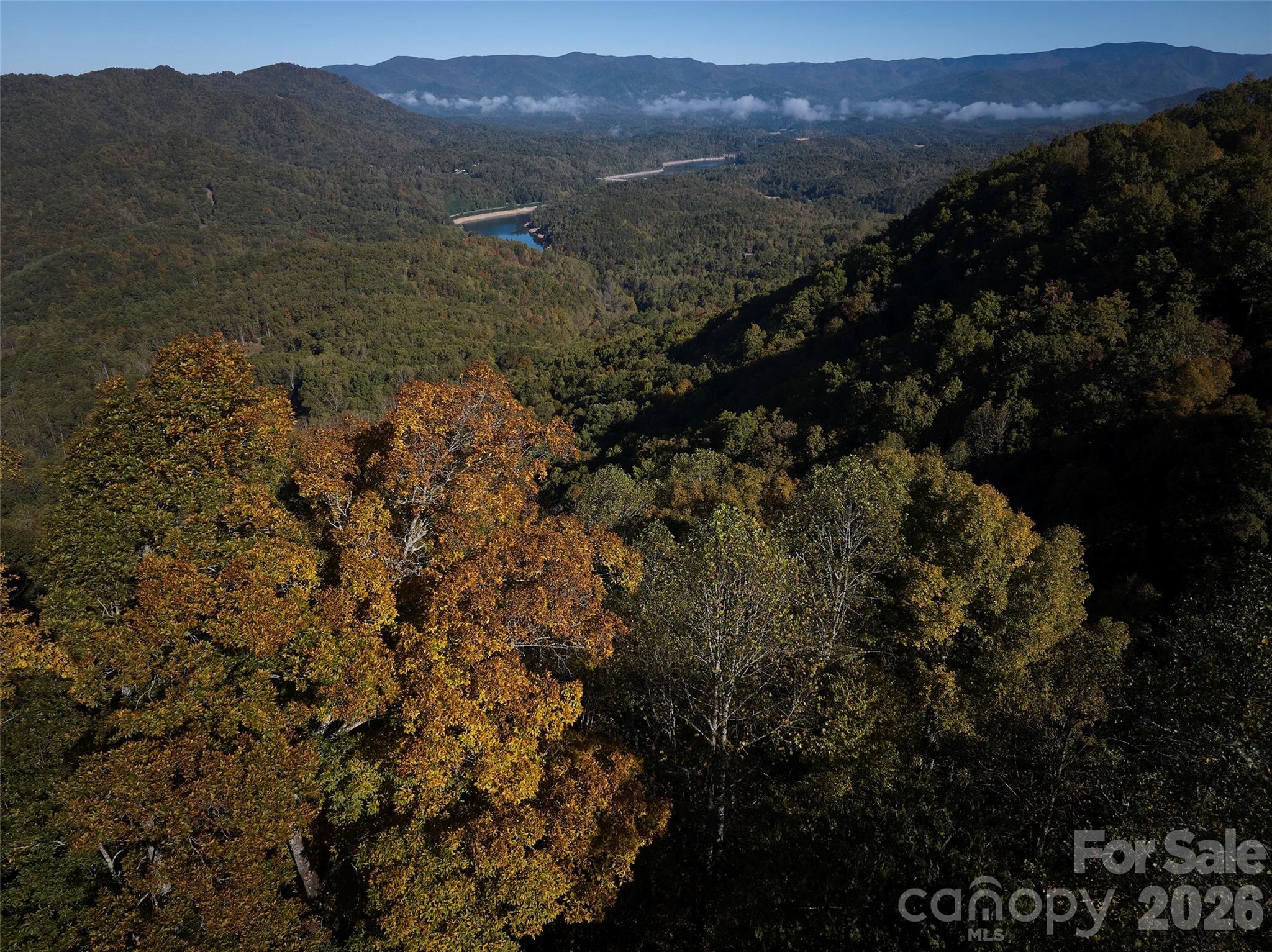 0 Glory Mountain Road Property Photo 3