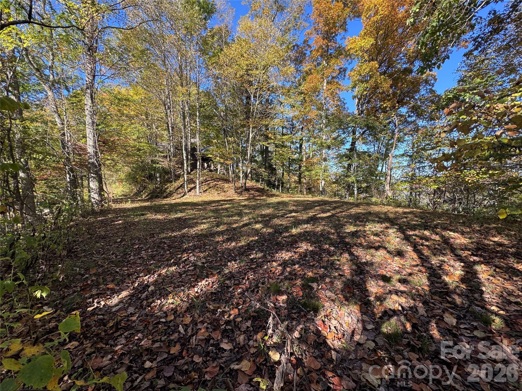 0 Glory Mountain Road Property Photo 4