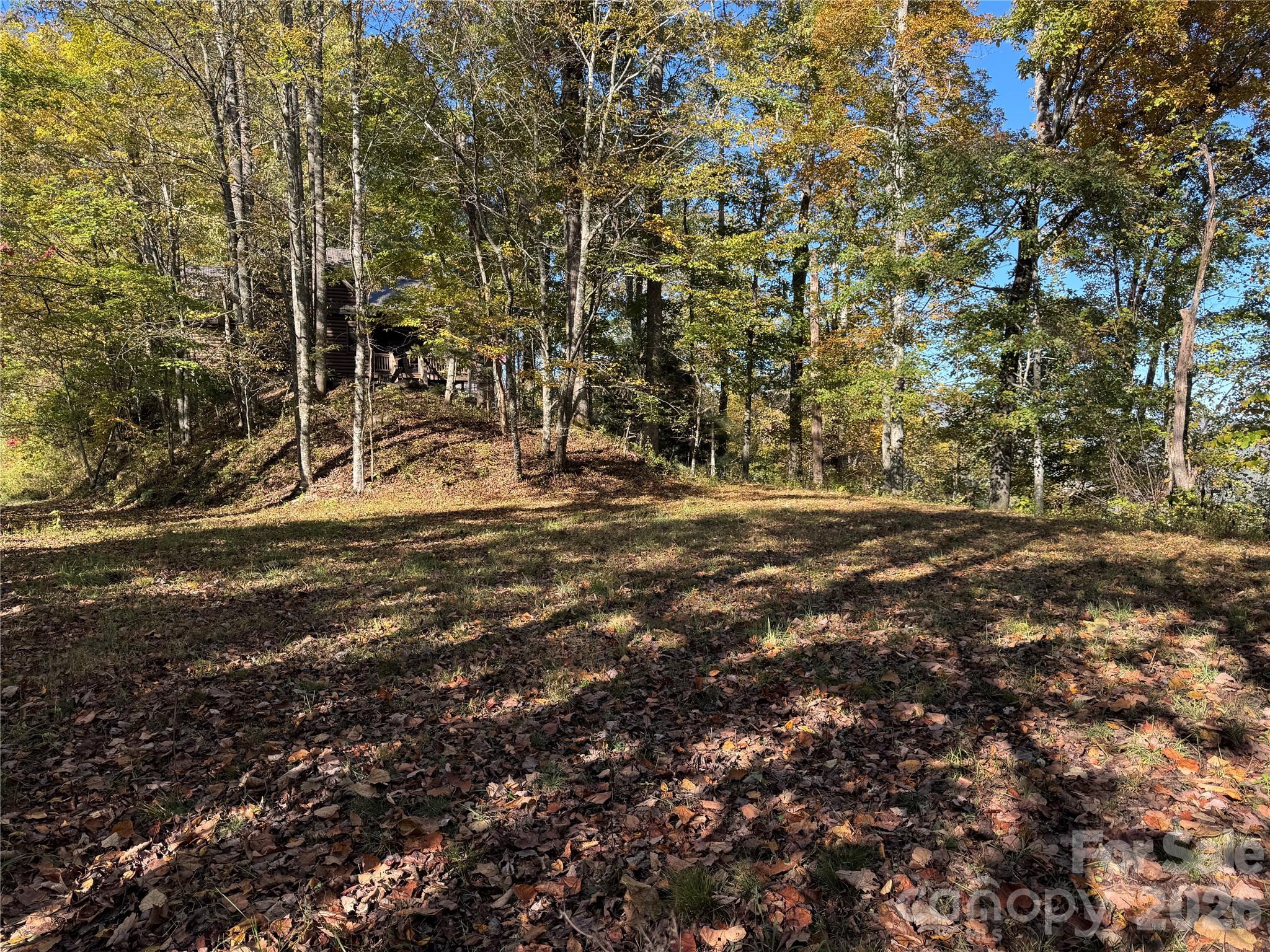0 Glory Mountain Road Property Photo 5