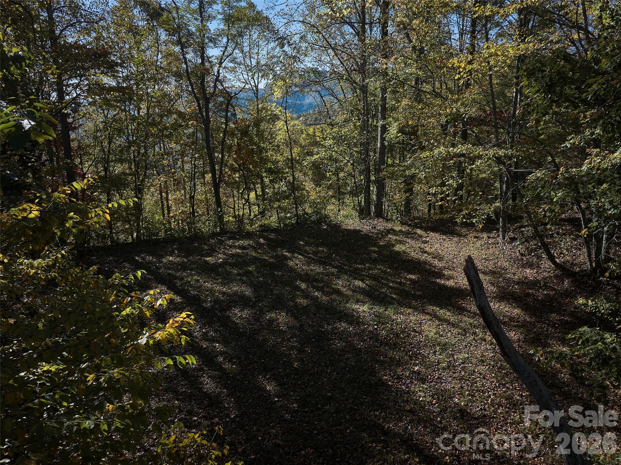 0 Glory Mountain Road Property Photo 6