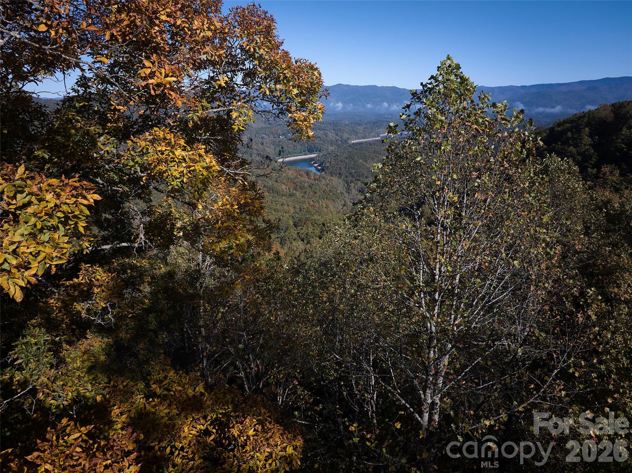 0 Glory Mountain Road Property Photo 7