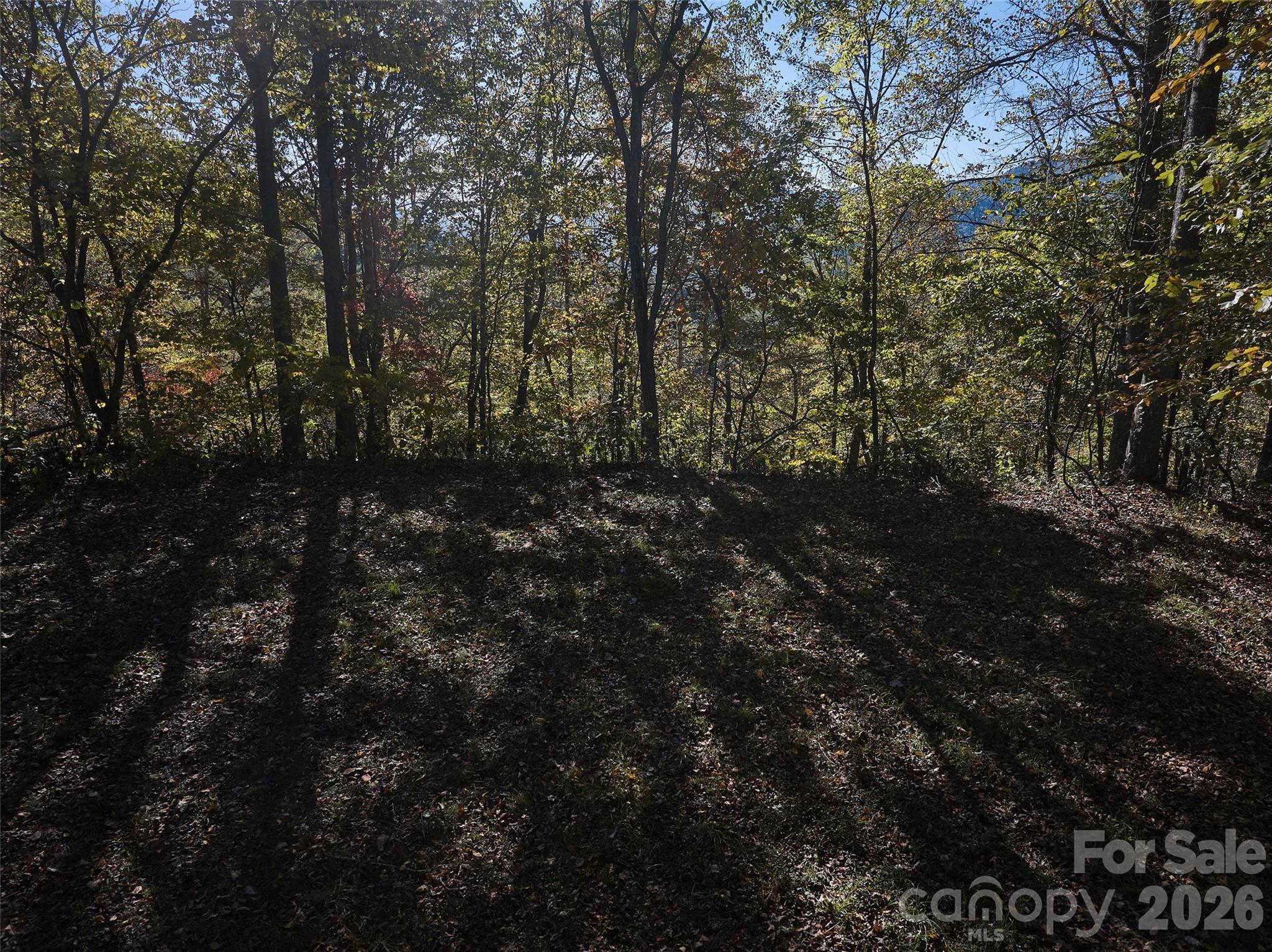 0 Glory Mountain Road Property Photo 8