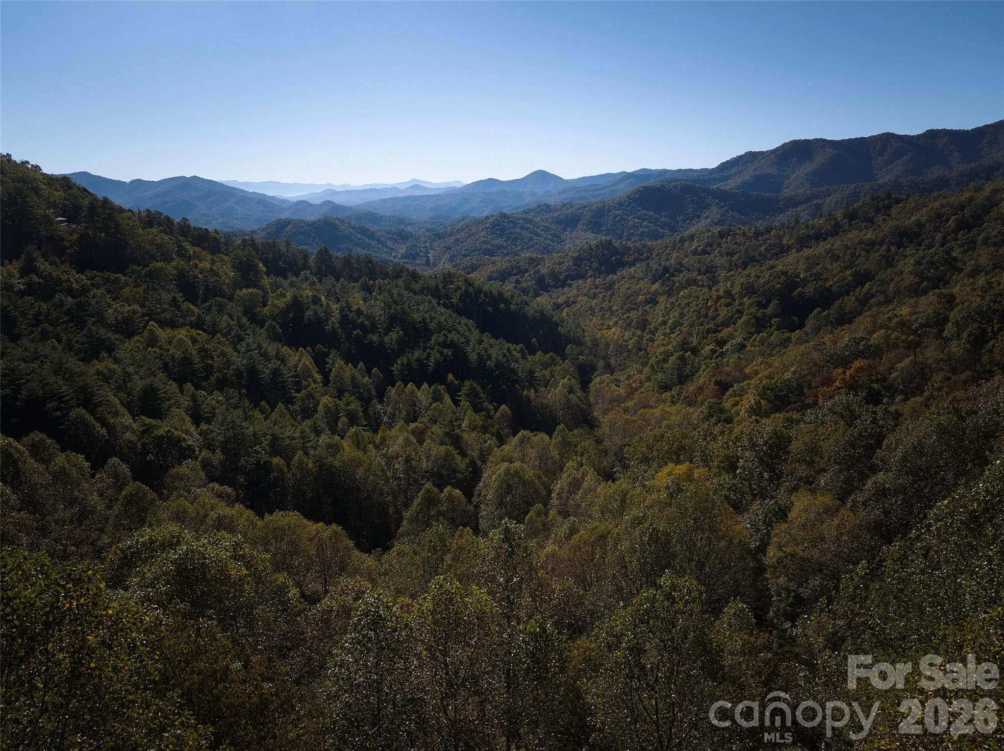 0 Glory Mountain Road Property Photo 9