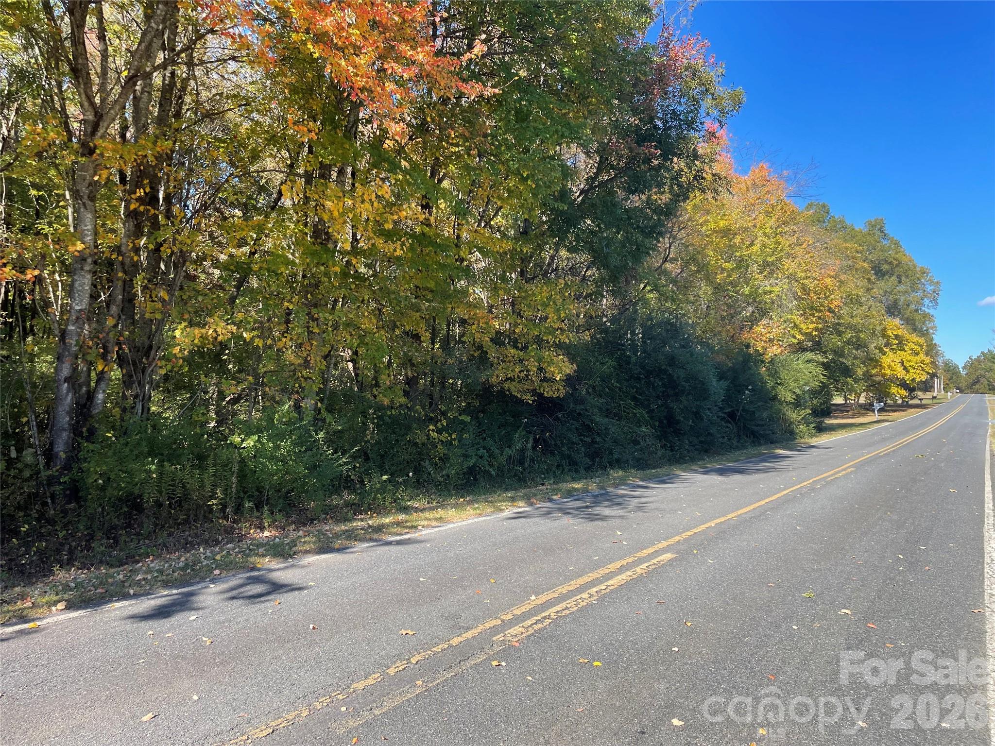 0000 Joes Road Property Photo 4