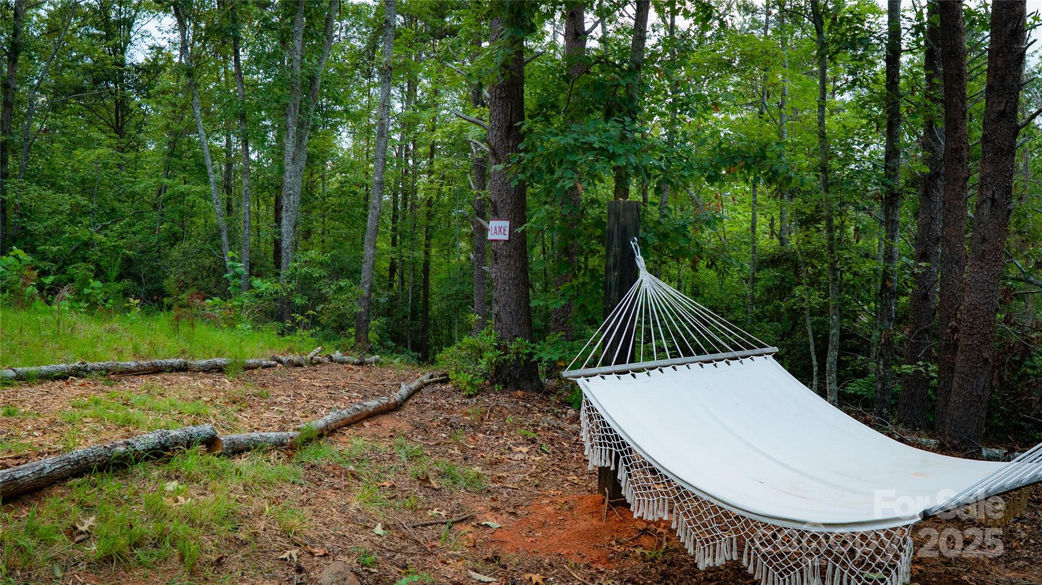 221 Summerfield Lane Property Photo 6