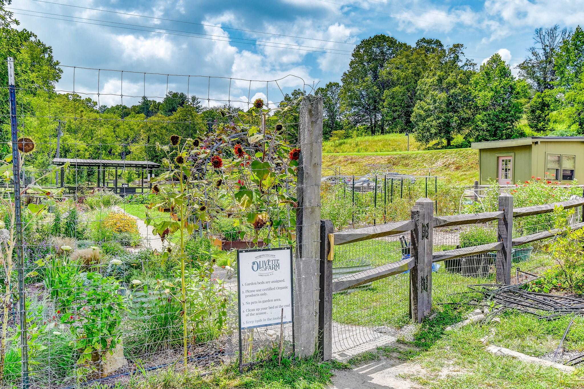 8 Crossvine Alley Property Photo 37