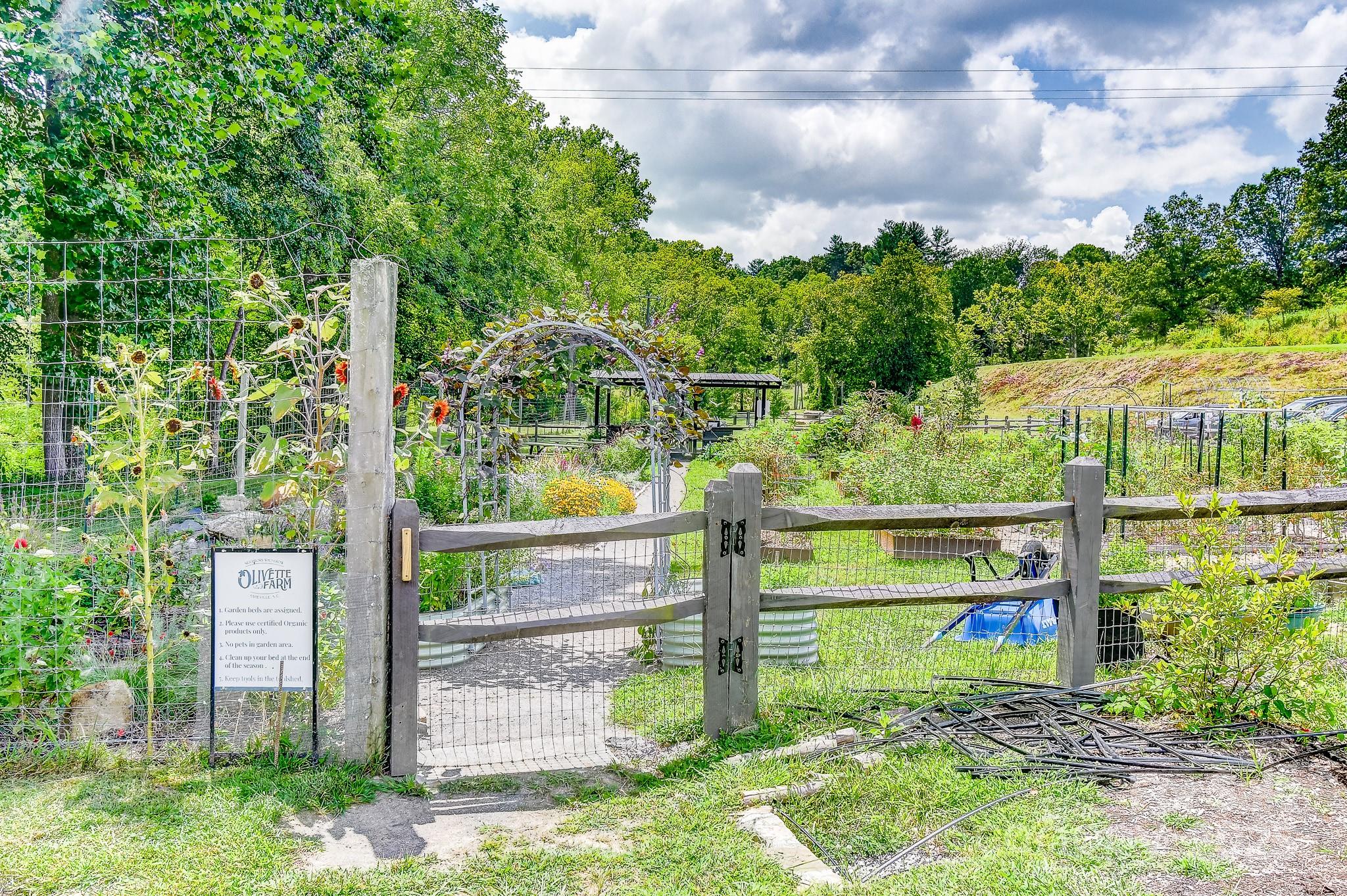 8 Crossvine Alley Property Photo 39