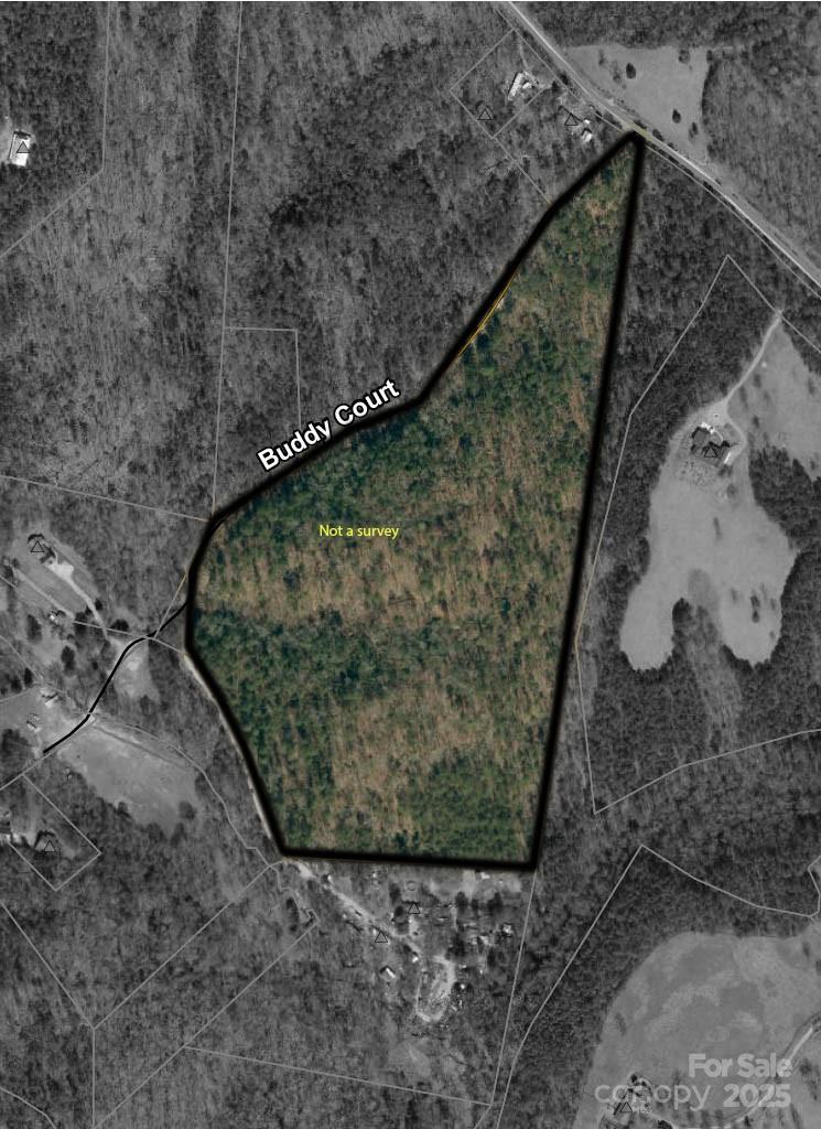 819 Grassy Knob Road Property Photo 2