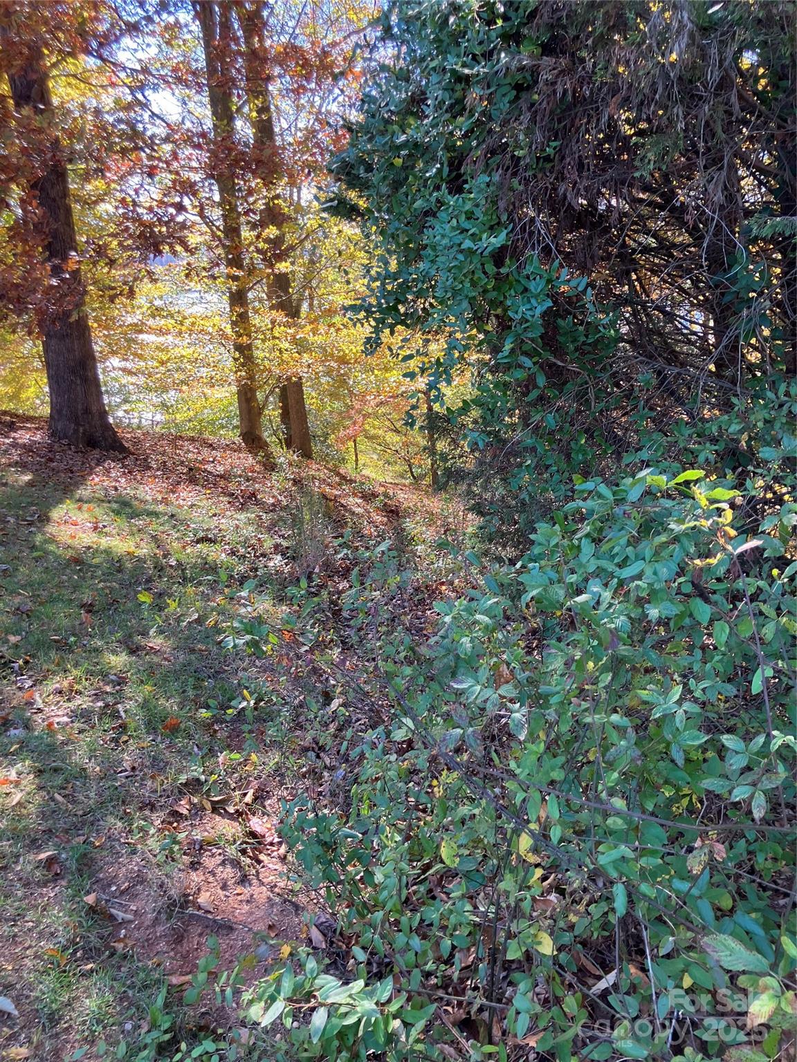 0000 Upper Lake Place Property Photo 1