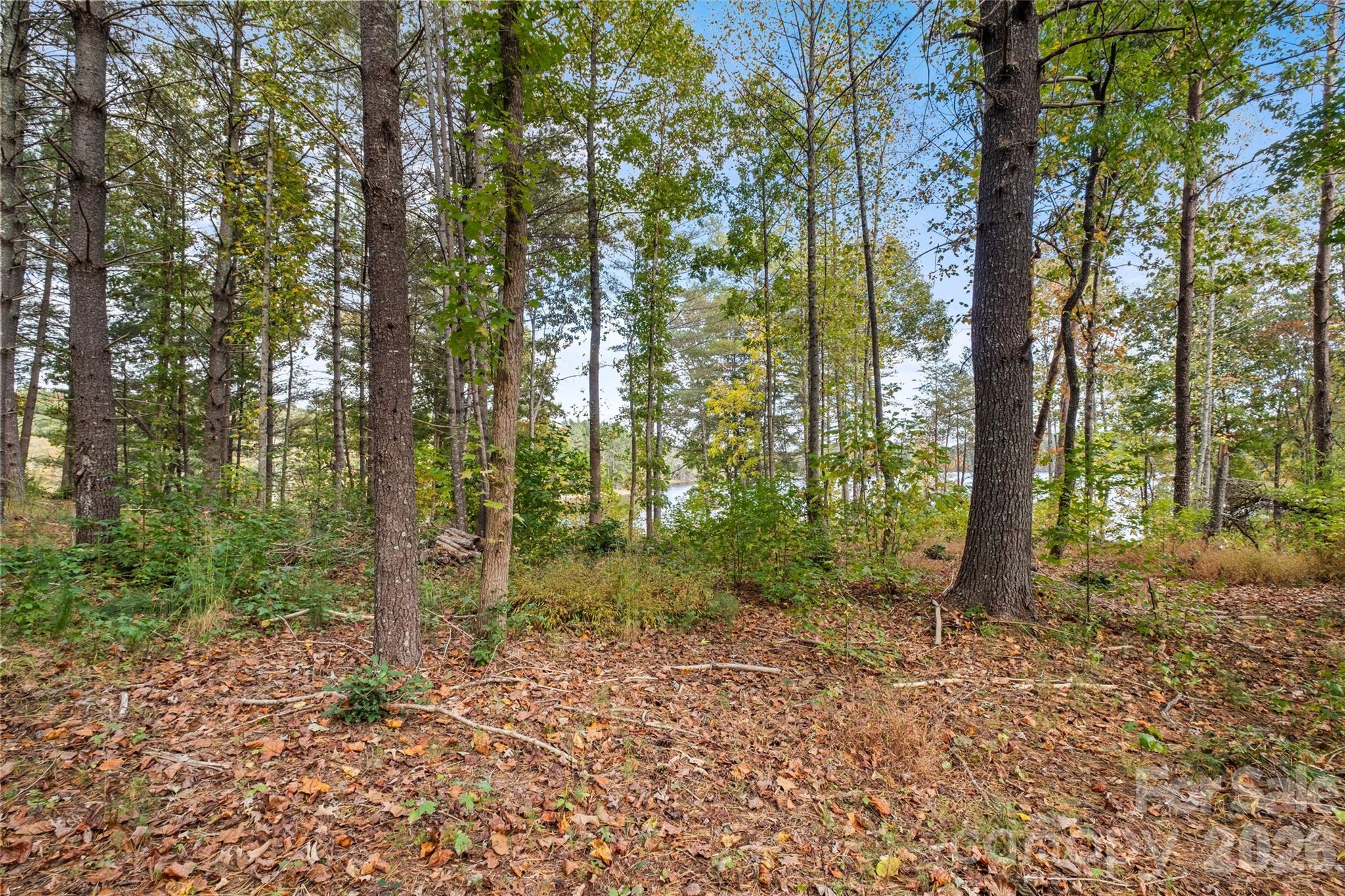 00 Scenic Lane 241 Property Photo 6