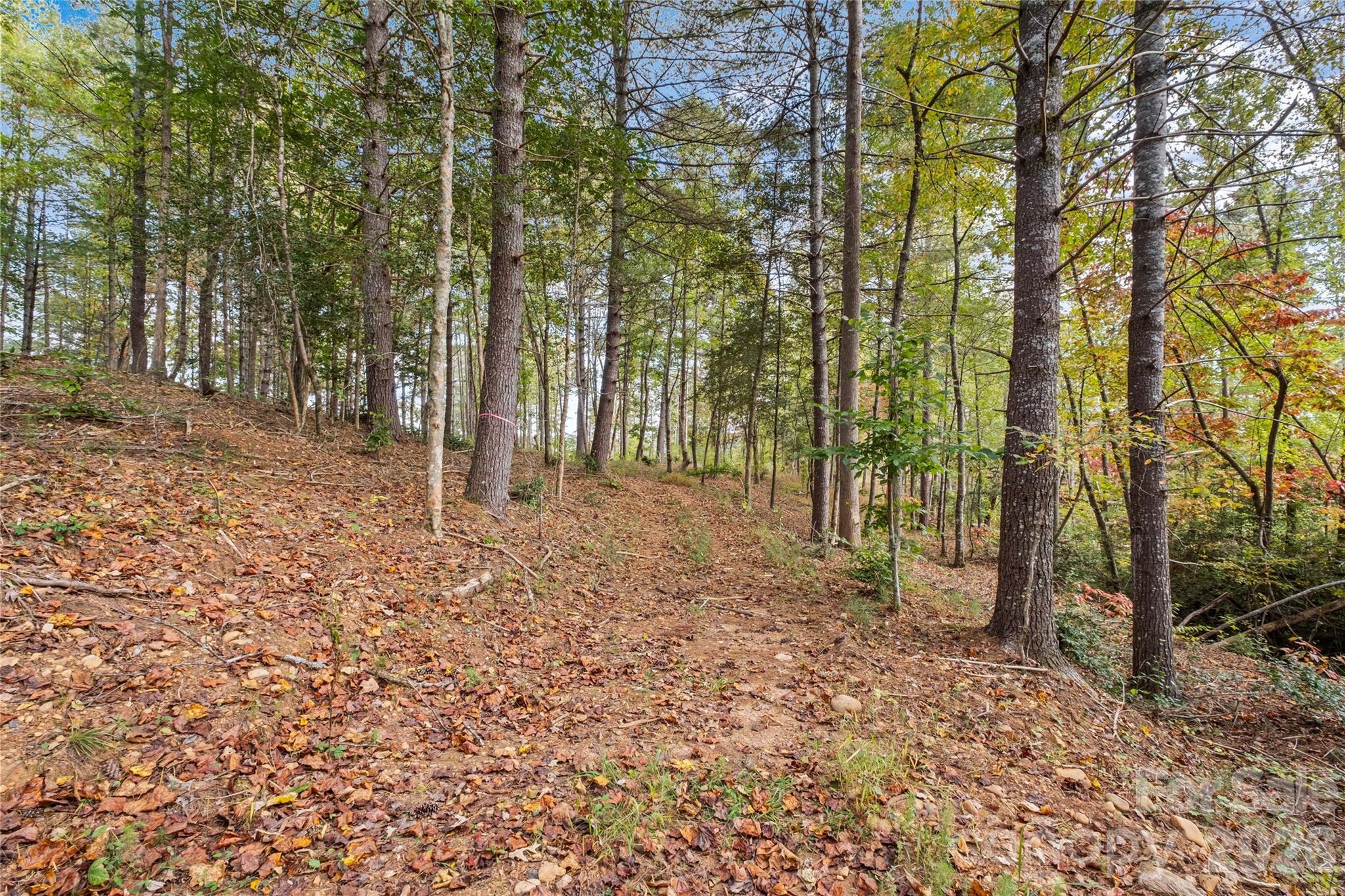 00 Scenic Lane 241 Property Photo 7