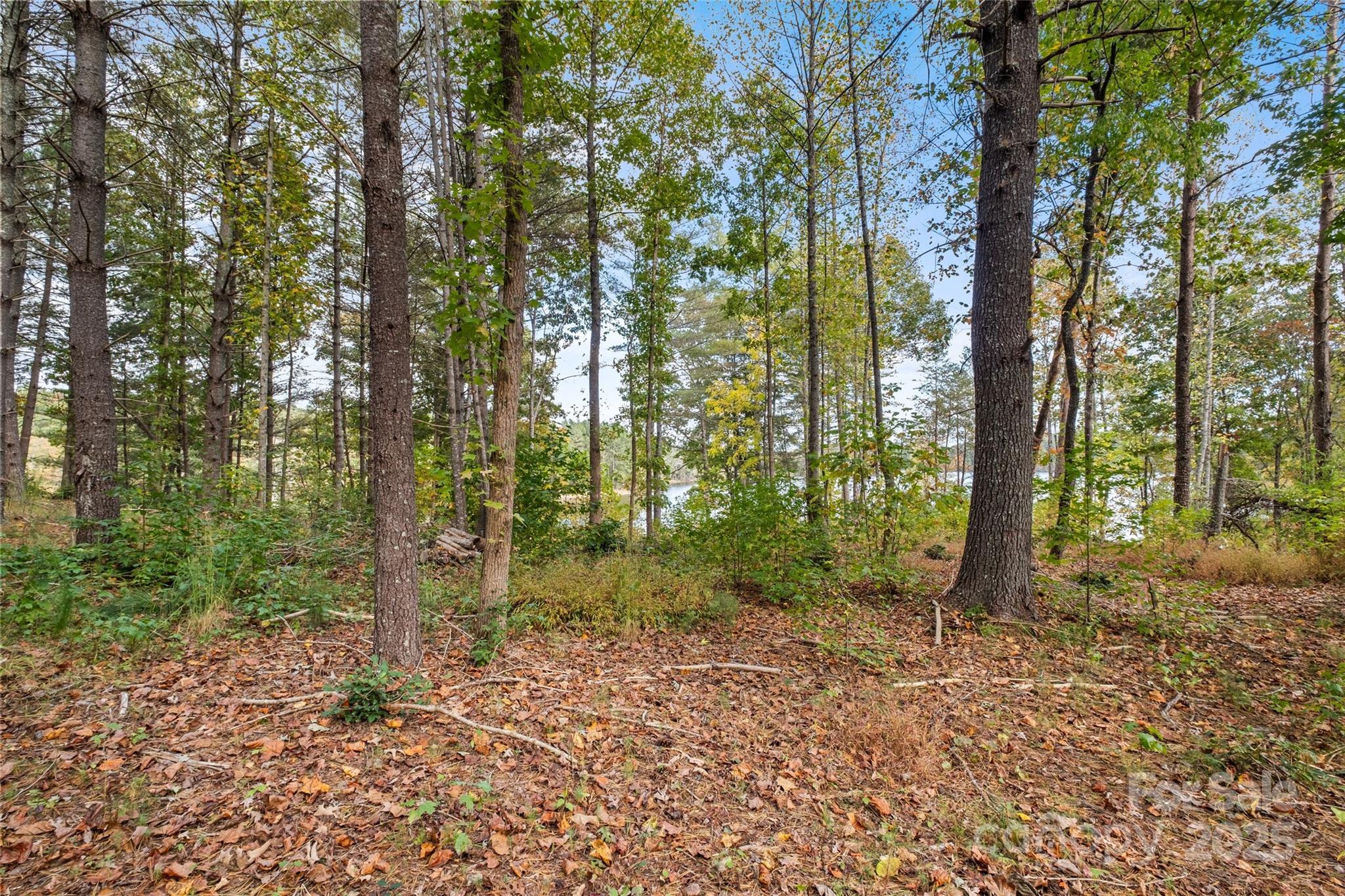 0000 Scenic Lane 241 Property Photo 20