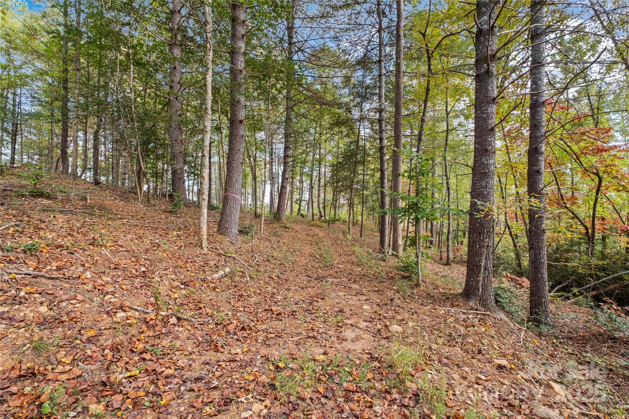 0000 Scenic Lane 241 Property Photo 21