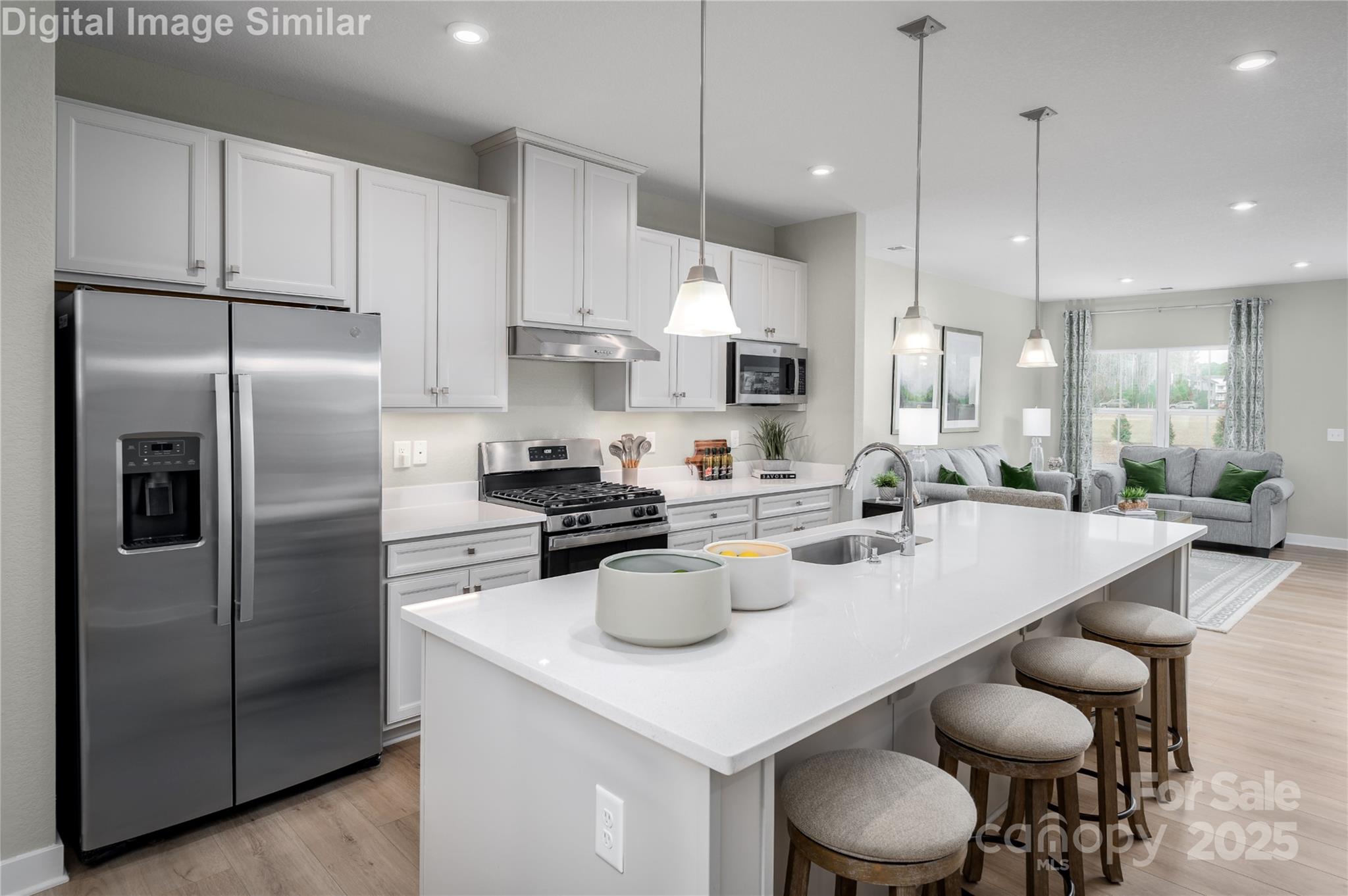 11110 Emerson Landing Drive Property Photo 3