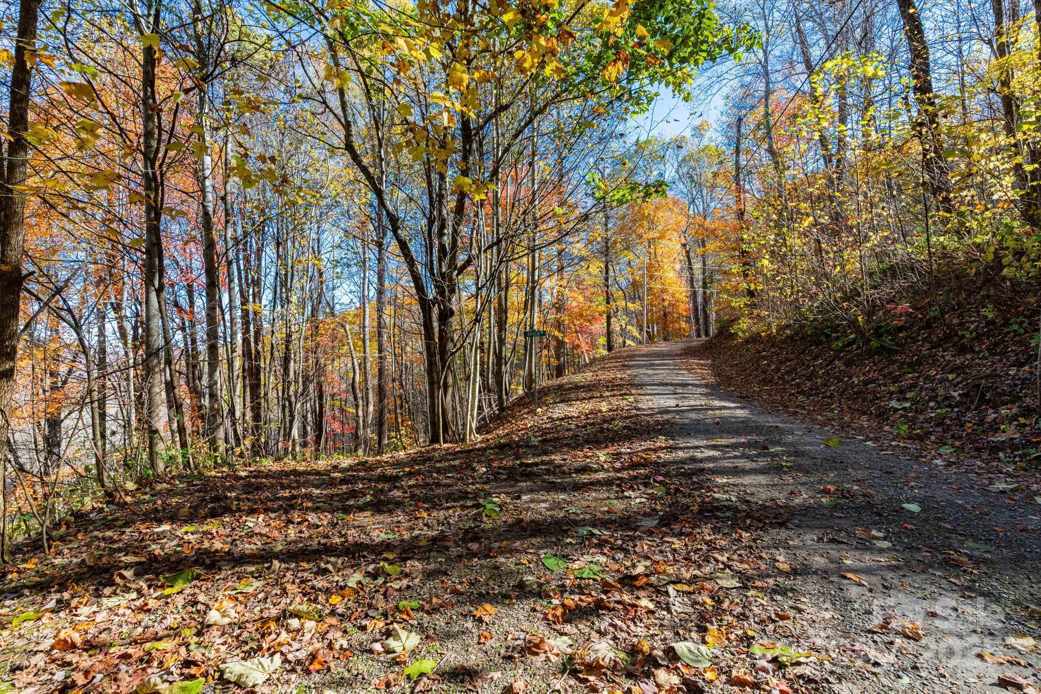 Tbd Appaloosa Trail Property Photo 4