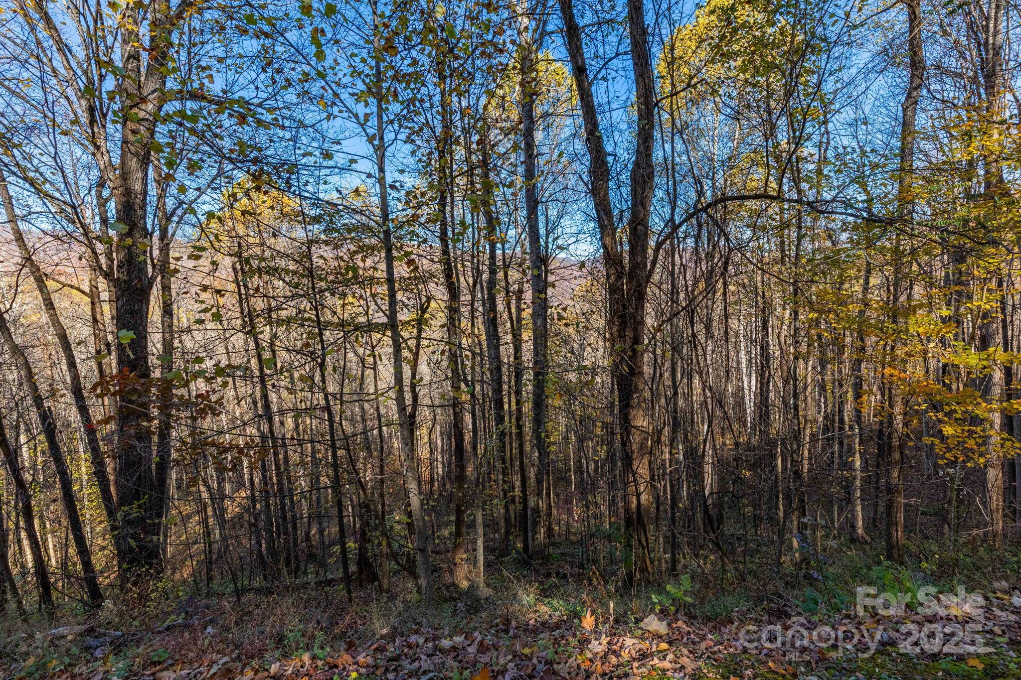 Tbd Appaloosa Trail Property Photo 9