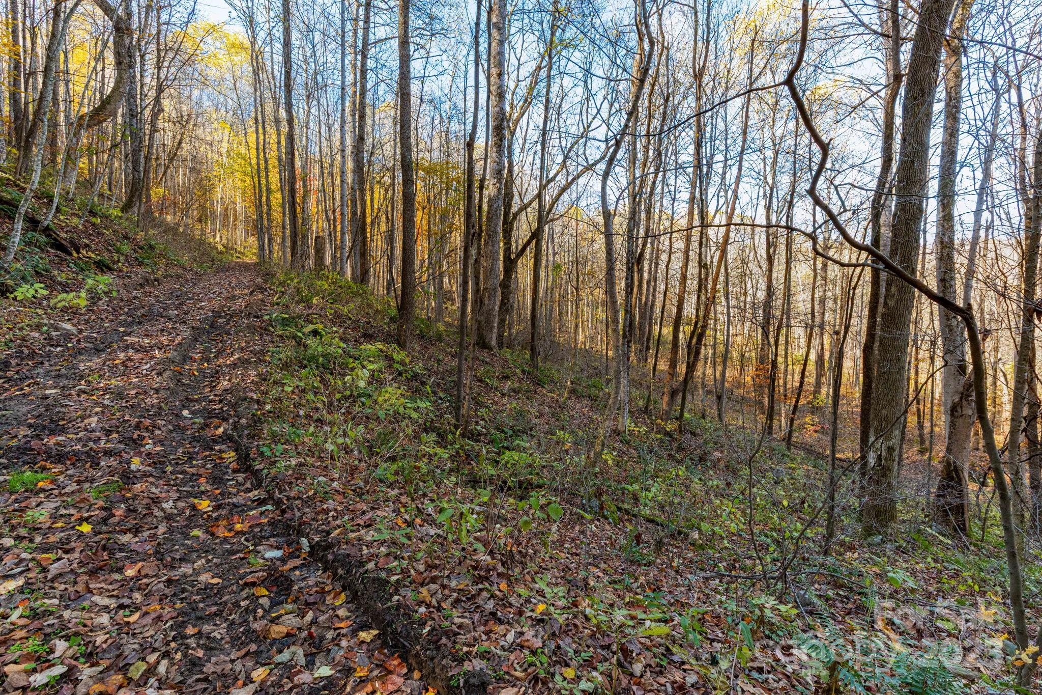 Tbd Appaloosa Trail Property Photo 10