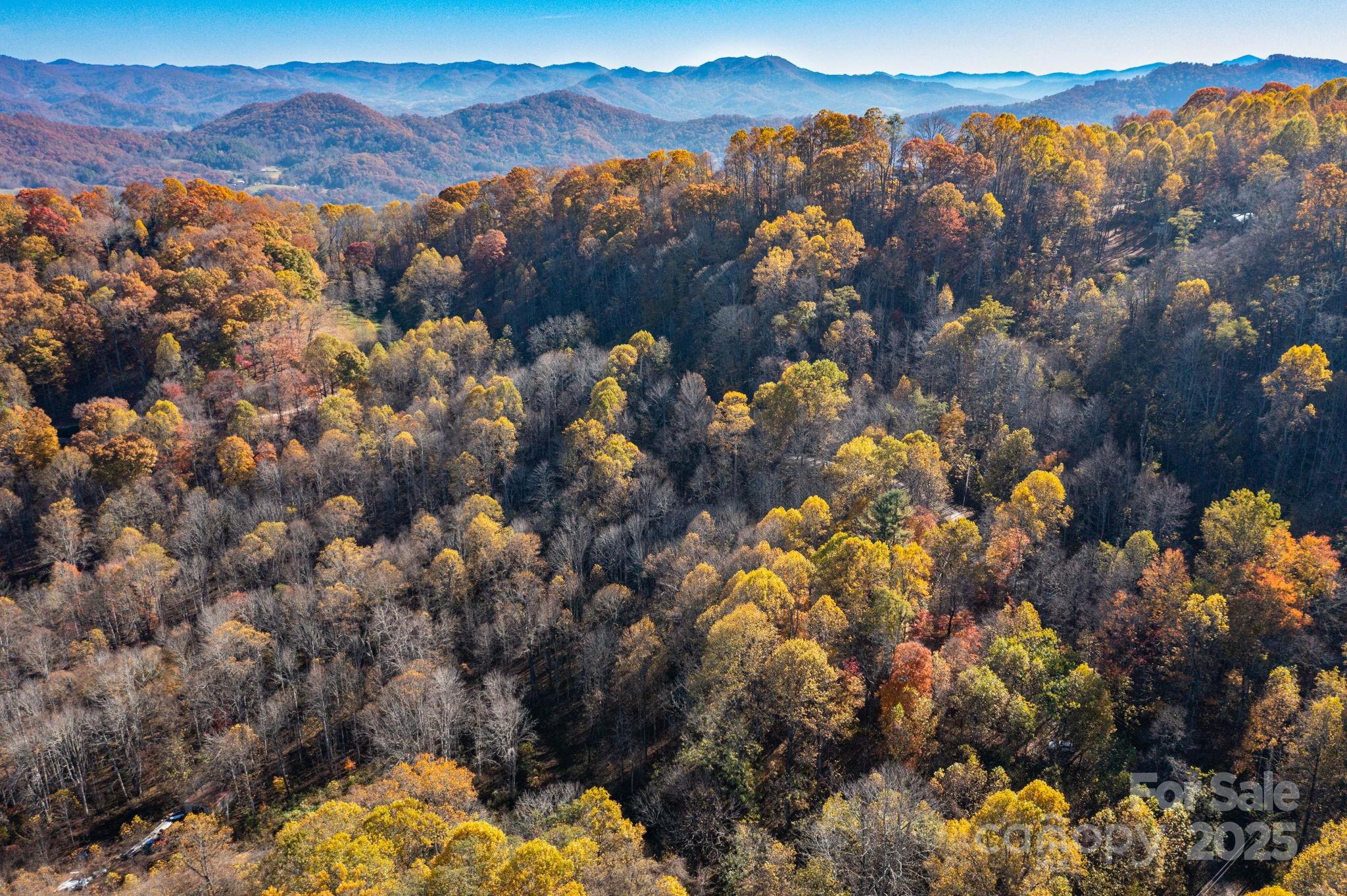 Tbd Appaloosa Trail Property Photo 13