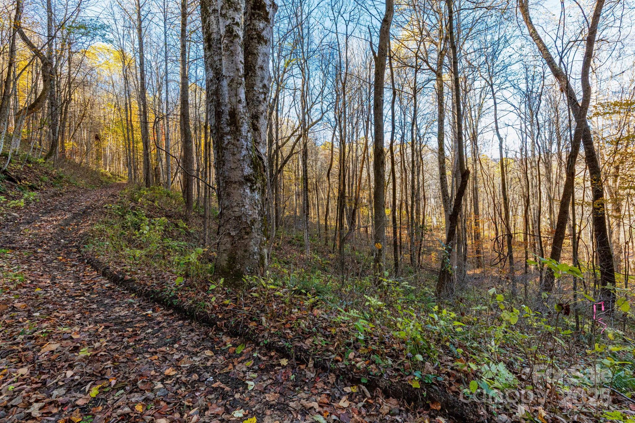 Tbd Appaloosa Trail Property Photo 14