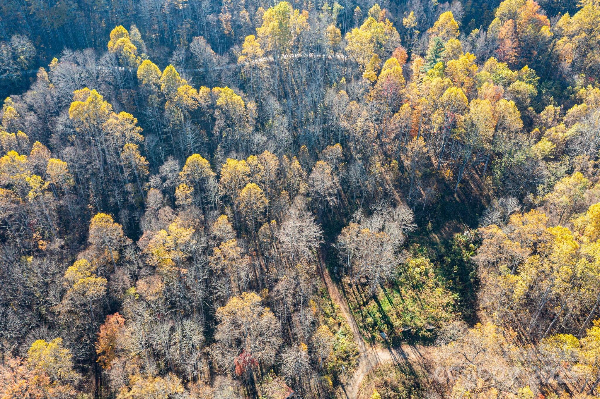 Tbd Appaloosa Trail Property Photo 16