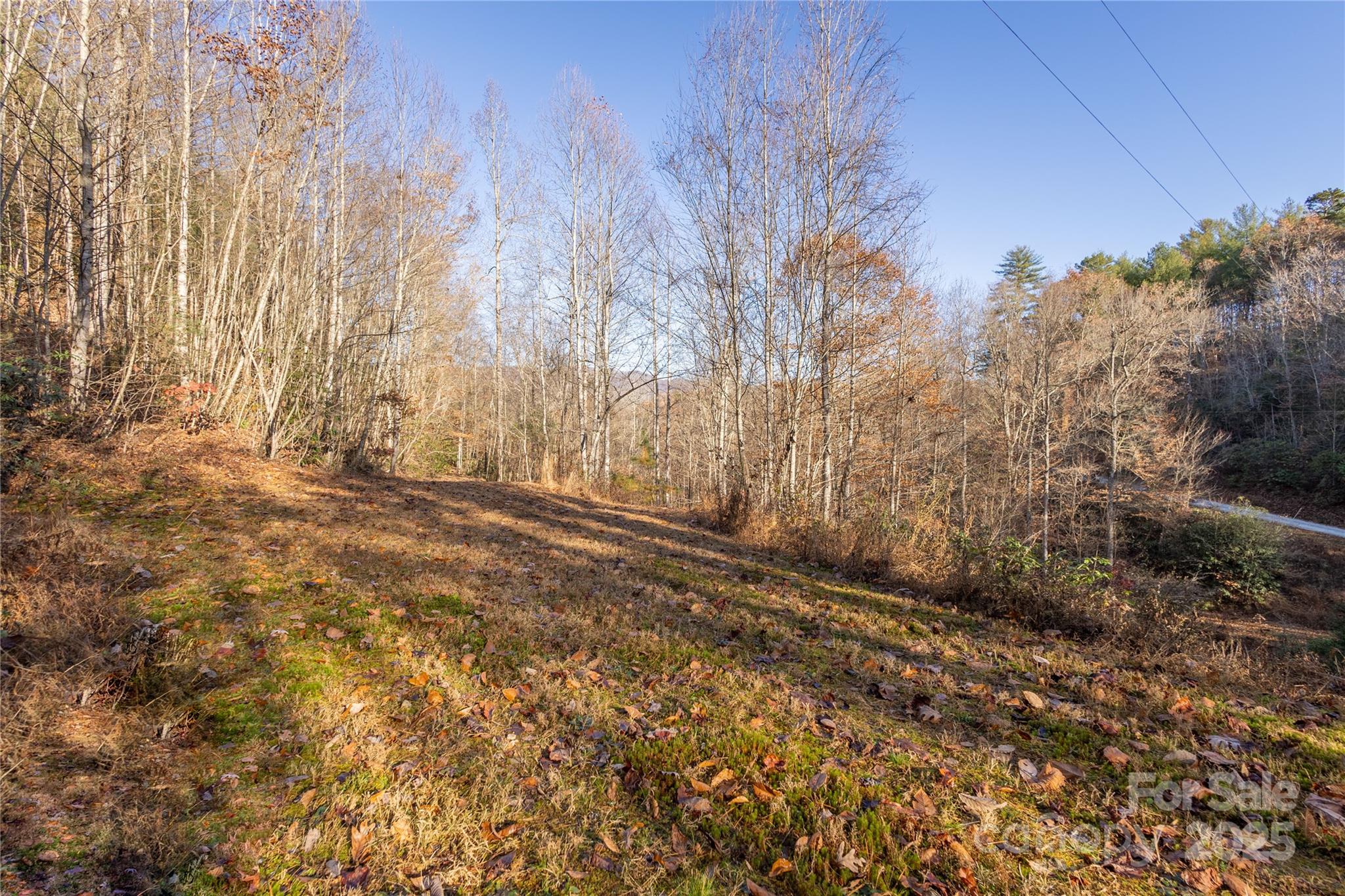 85 Brown Lane Property Photo 22