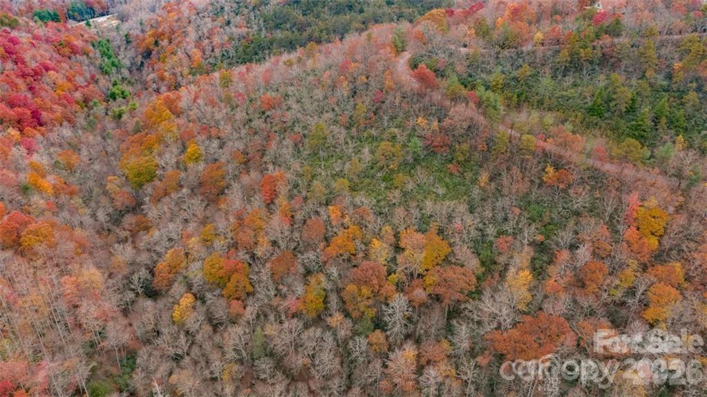 82 Davey Crockett Road Property Photo 6