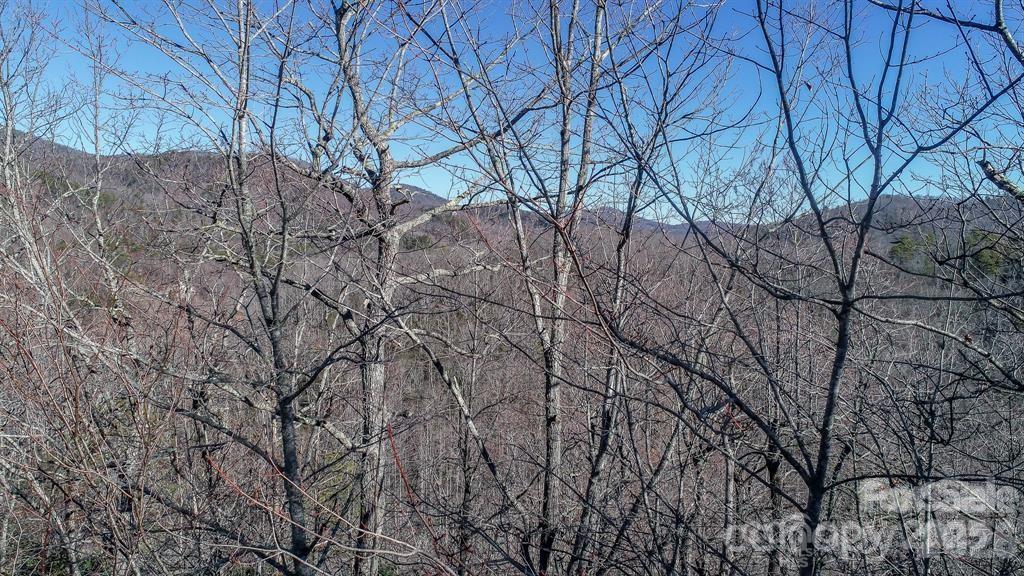 82 Davey Crockett Road Property Photo 8
