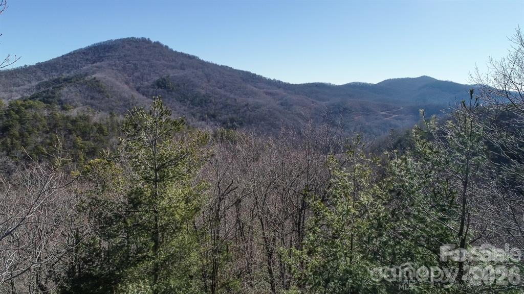 82 Davey Crockett Road Property Photo 9