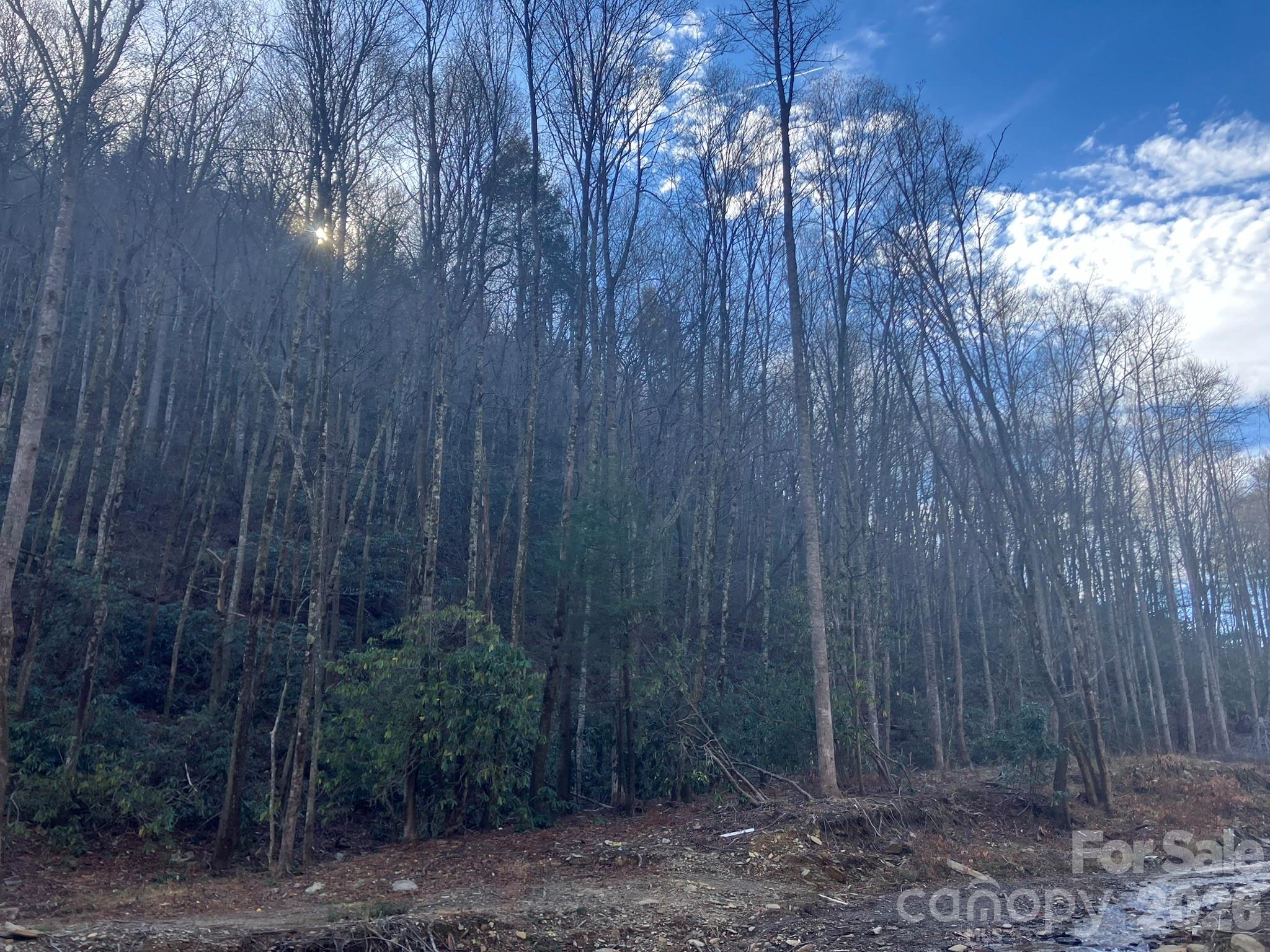 82 Davey Crockett Road Property Photo 11