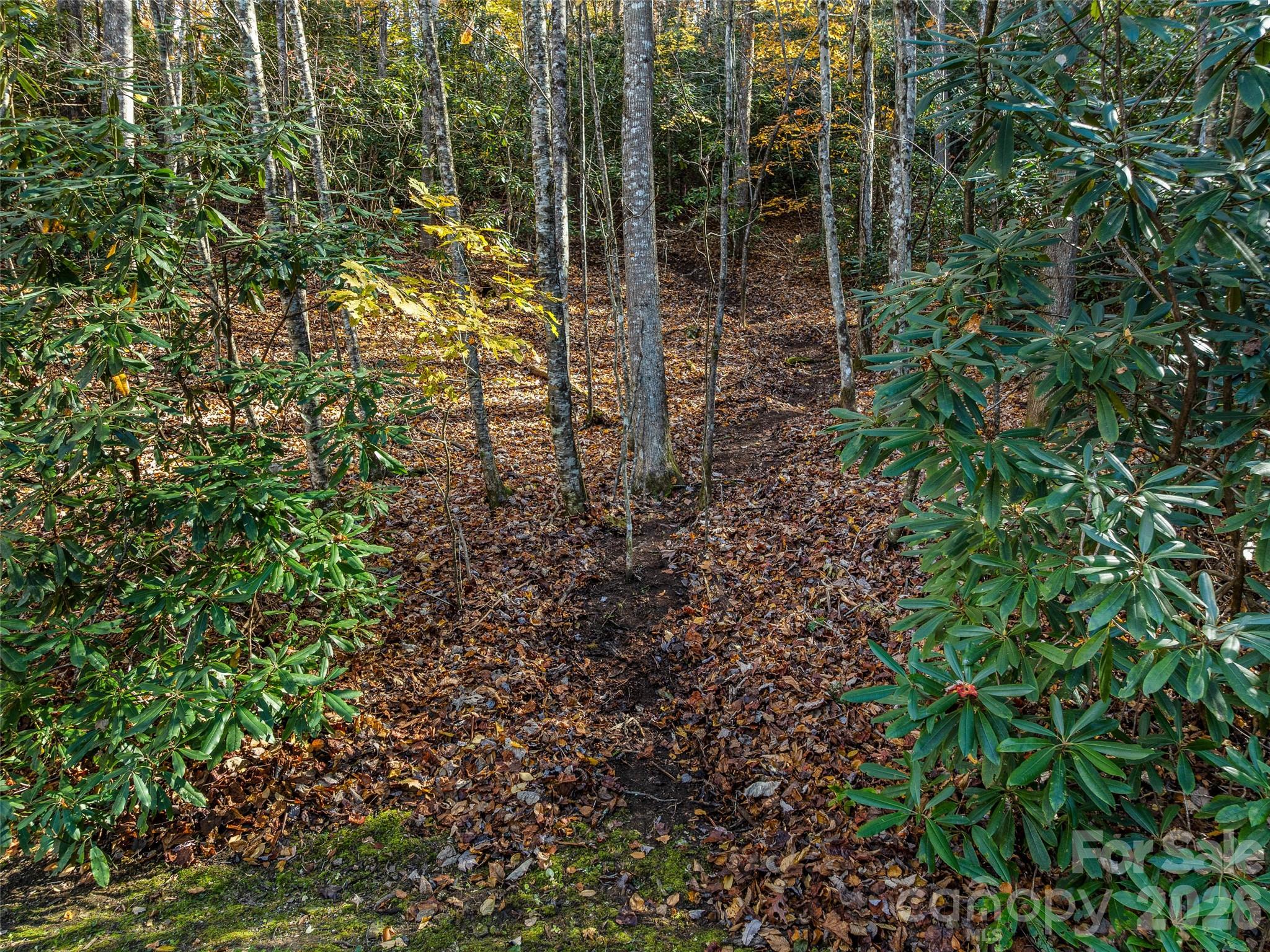 241 Skye Drive Property Photo 5