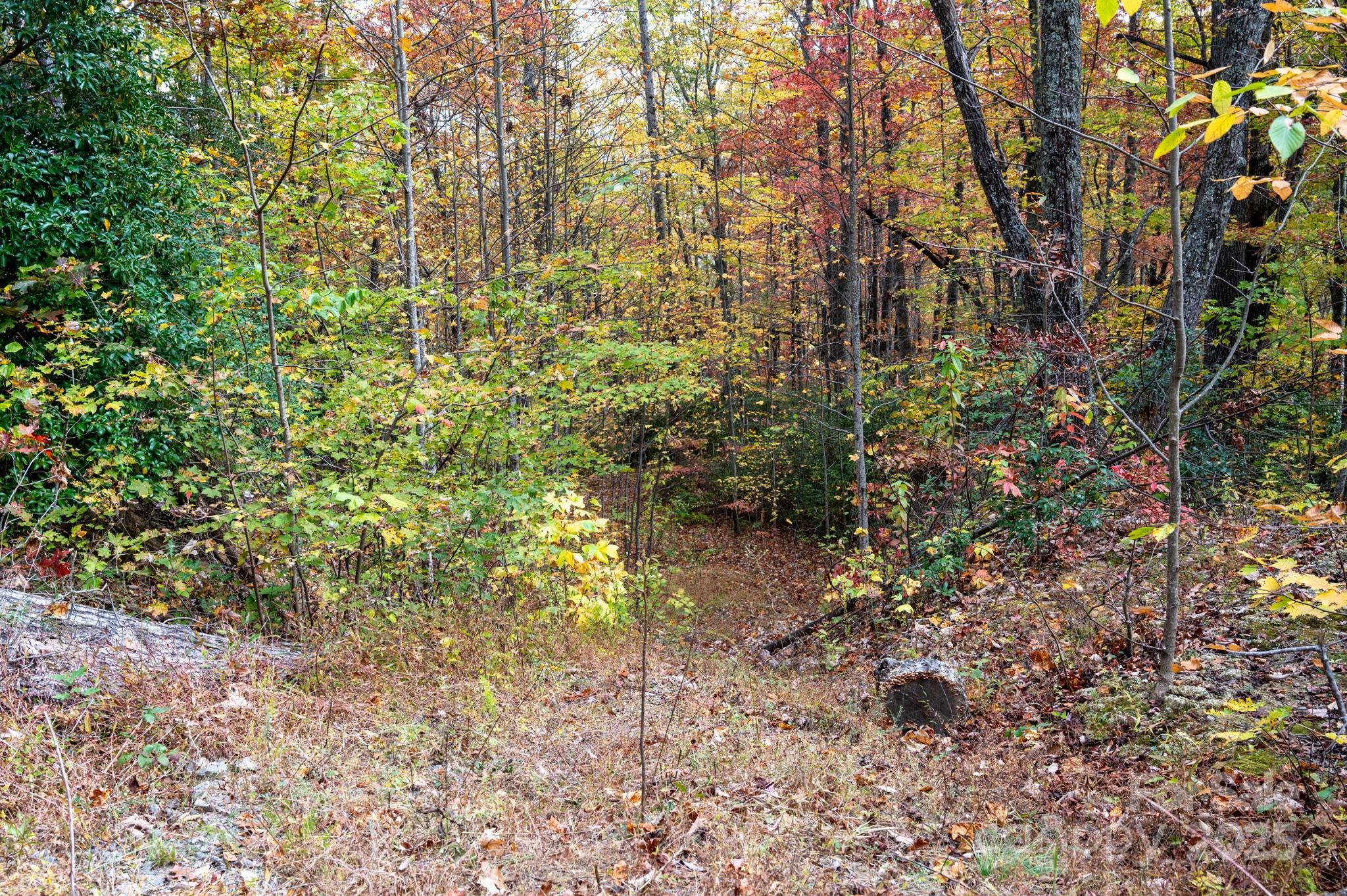 4b Lower Flat Creek Road Property Photo 1