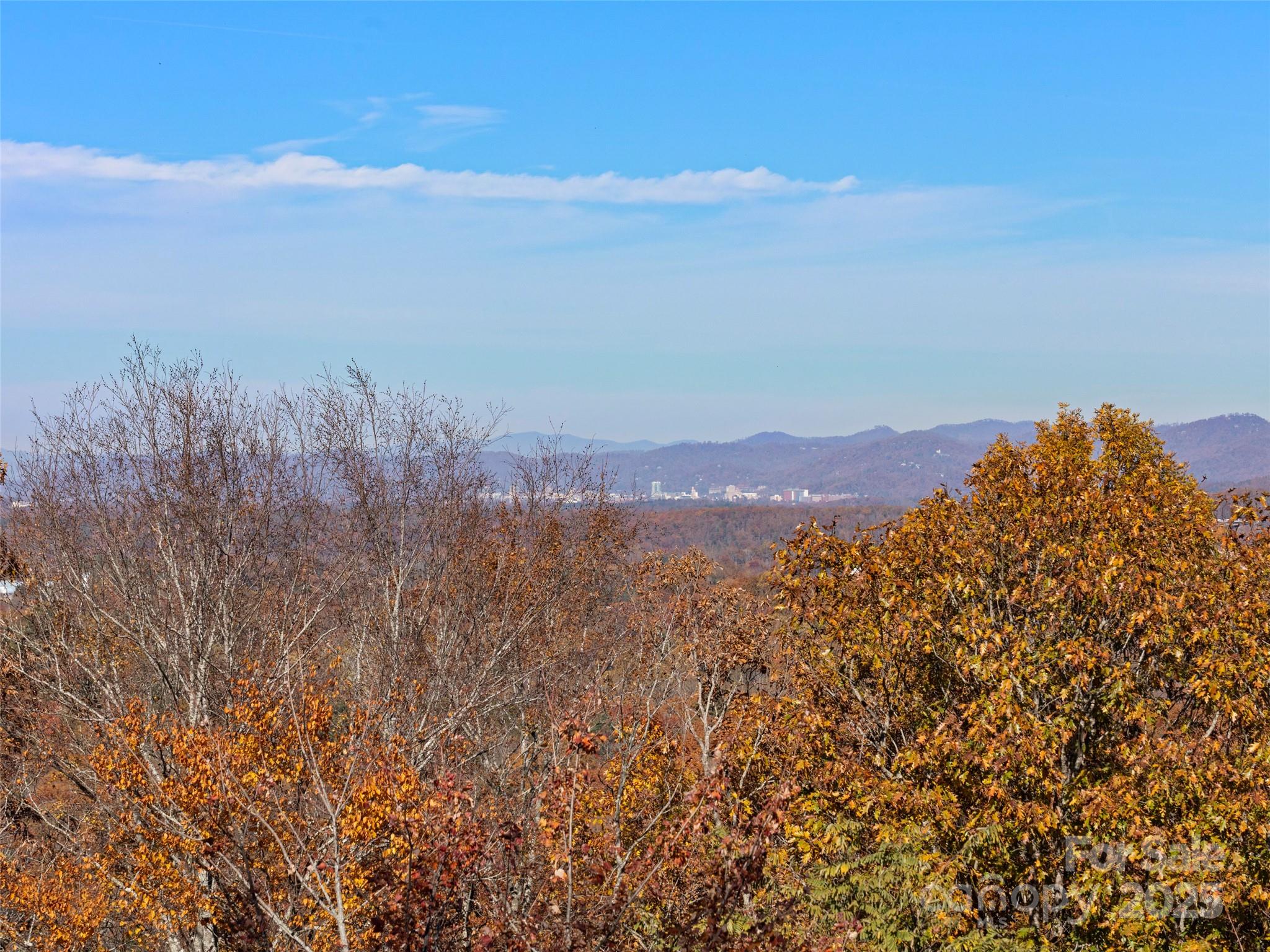222 Secluded Hills Lane Property Photo 42