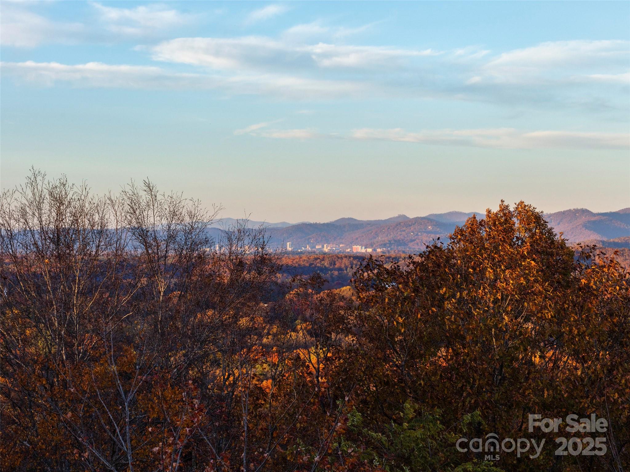 222 Secluded Hills Lane Property Photo 44