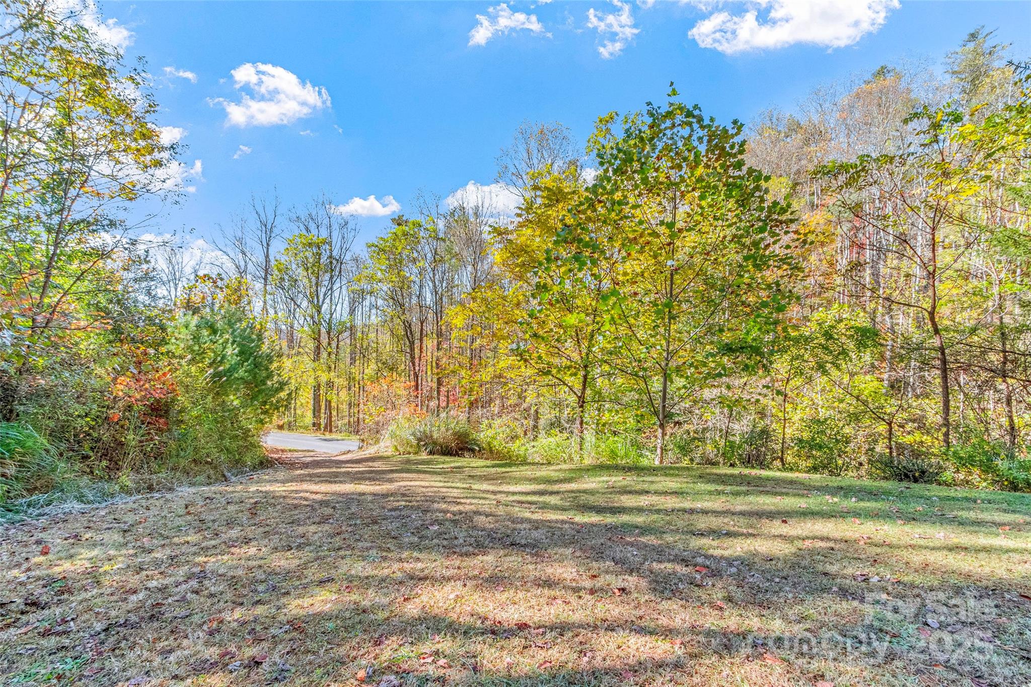 96 Thompson Road Property Photo 2
