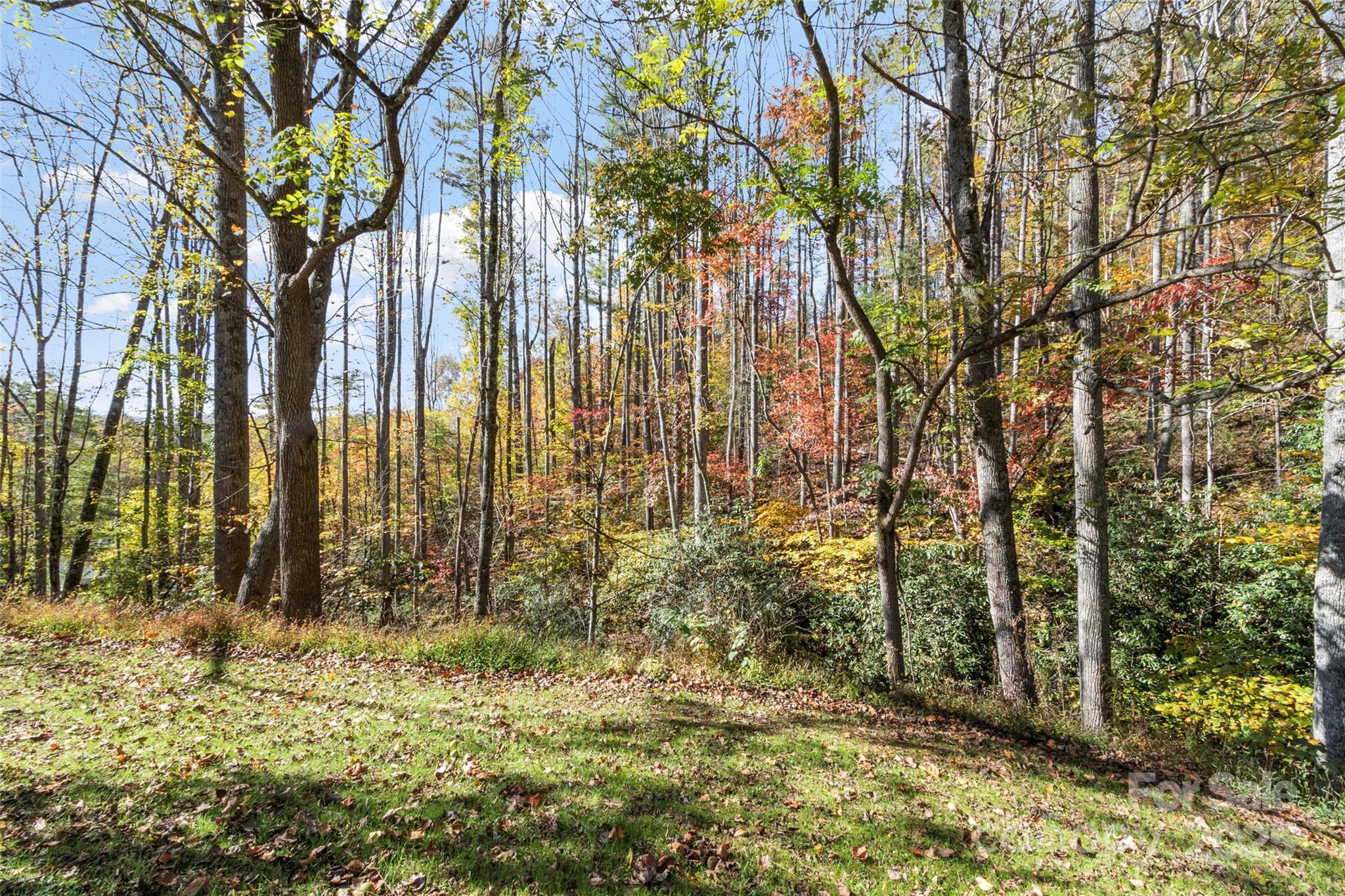 96 Thompson Road Property Photo 3