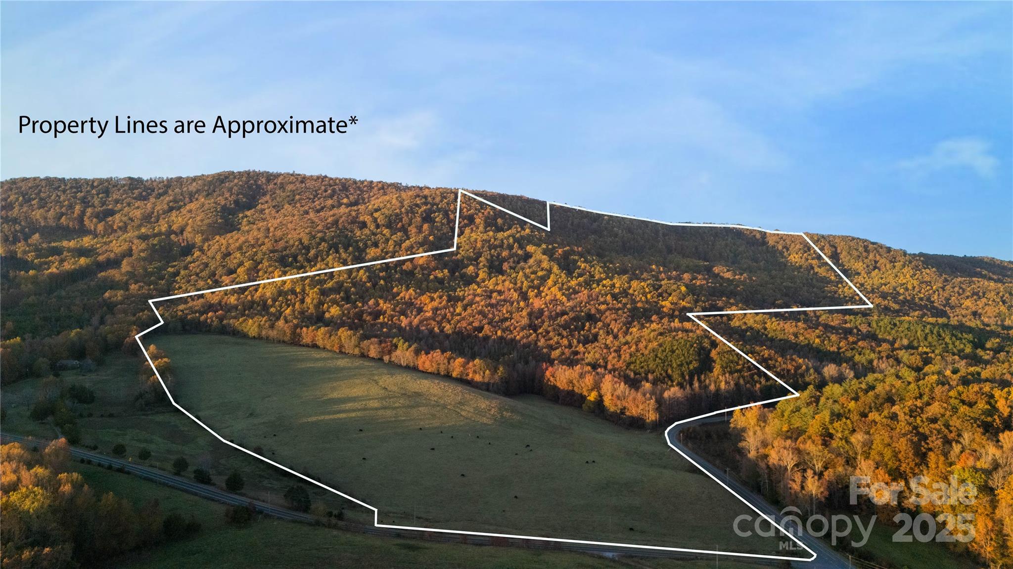 Tbd Wards Gap Road Property Photo 2