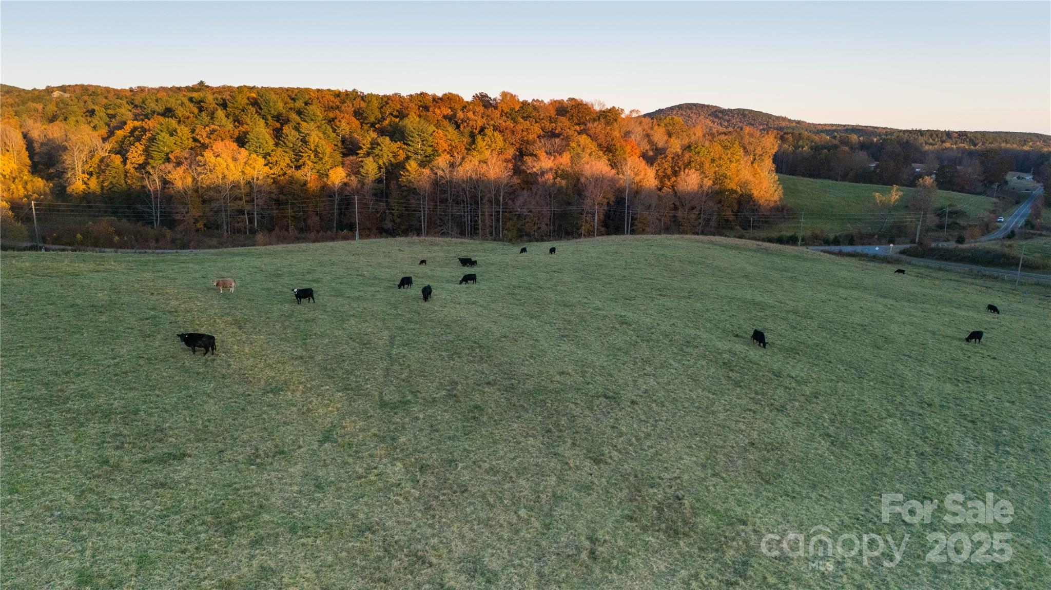 Tbd Wards Gap Road Property Photo 6