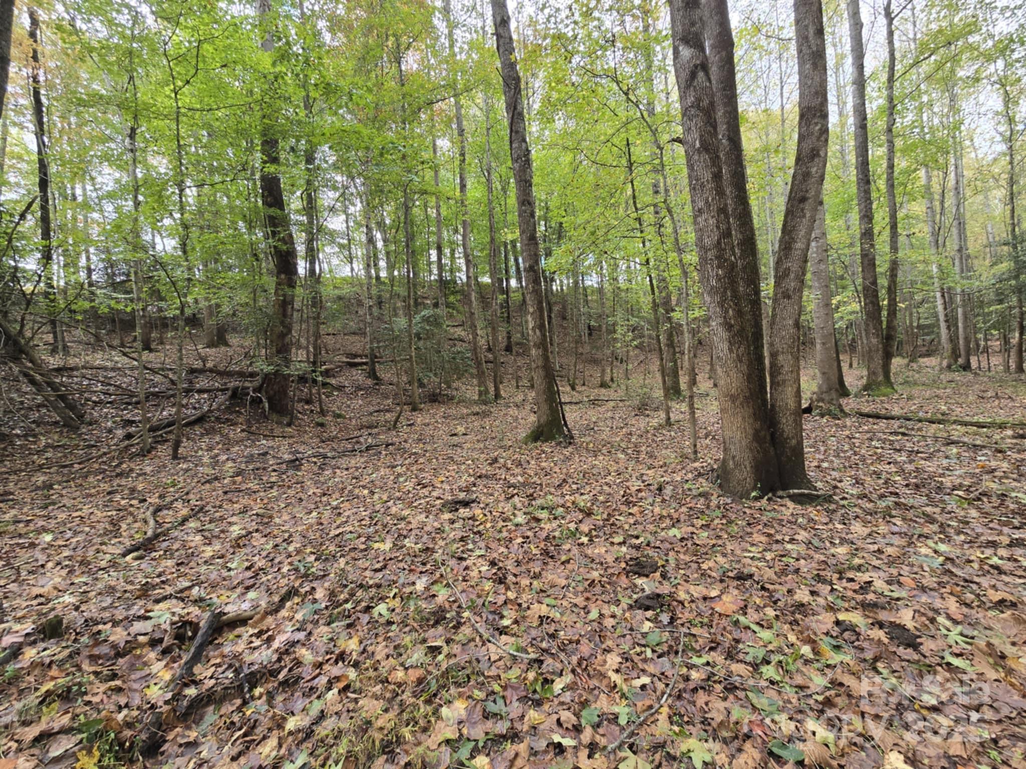 Tbd Wards Gap Road Property Photo 7