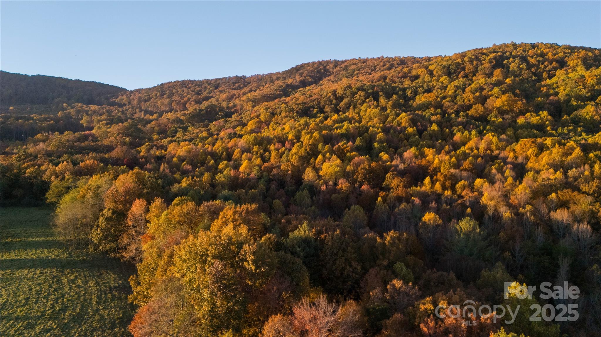 Tbd Wards Gap Road Property Photo 8