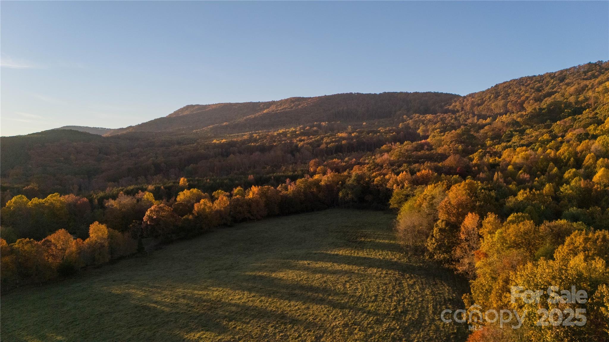 Tbd Wards Gap Road Property Photo 9