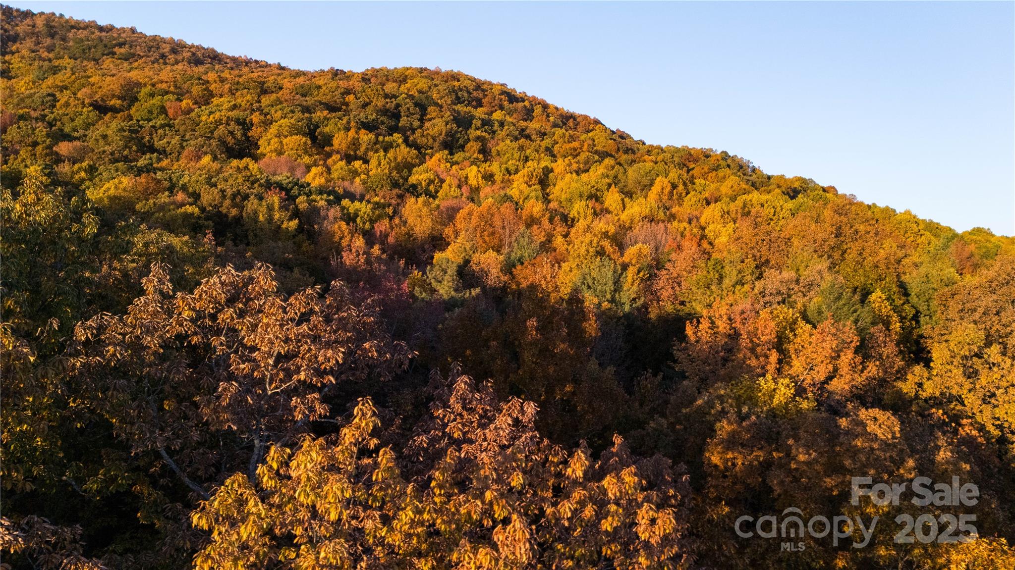 Tbd Wards Gap Road Property Photo 12